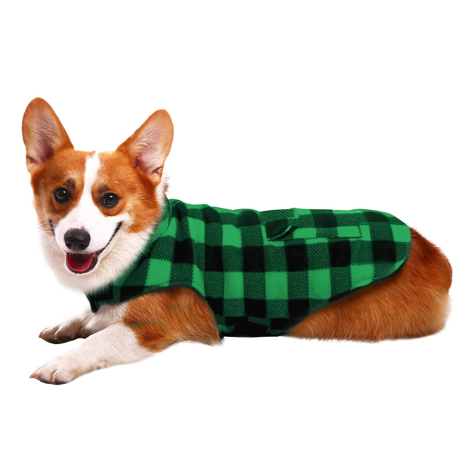 ASENKU Reversible Dog Jacket - Plaid Waterproof Winter Coat for Small to Large Dogs (XS, Green)