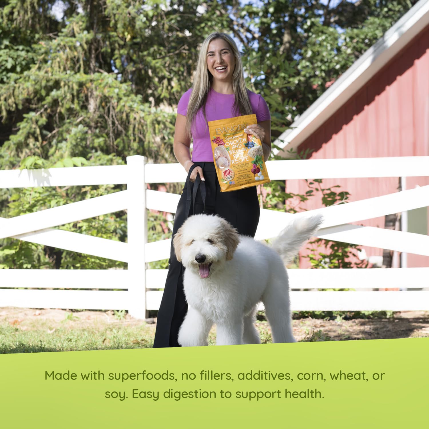 Evangers Grain-Free Chicken with Sweet Potato & Pumpkin for Dogs, 16.5 lb Bag