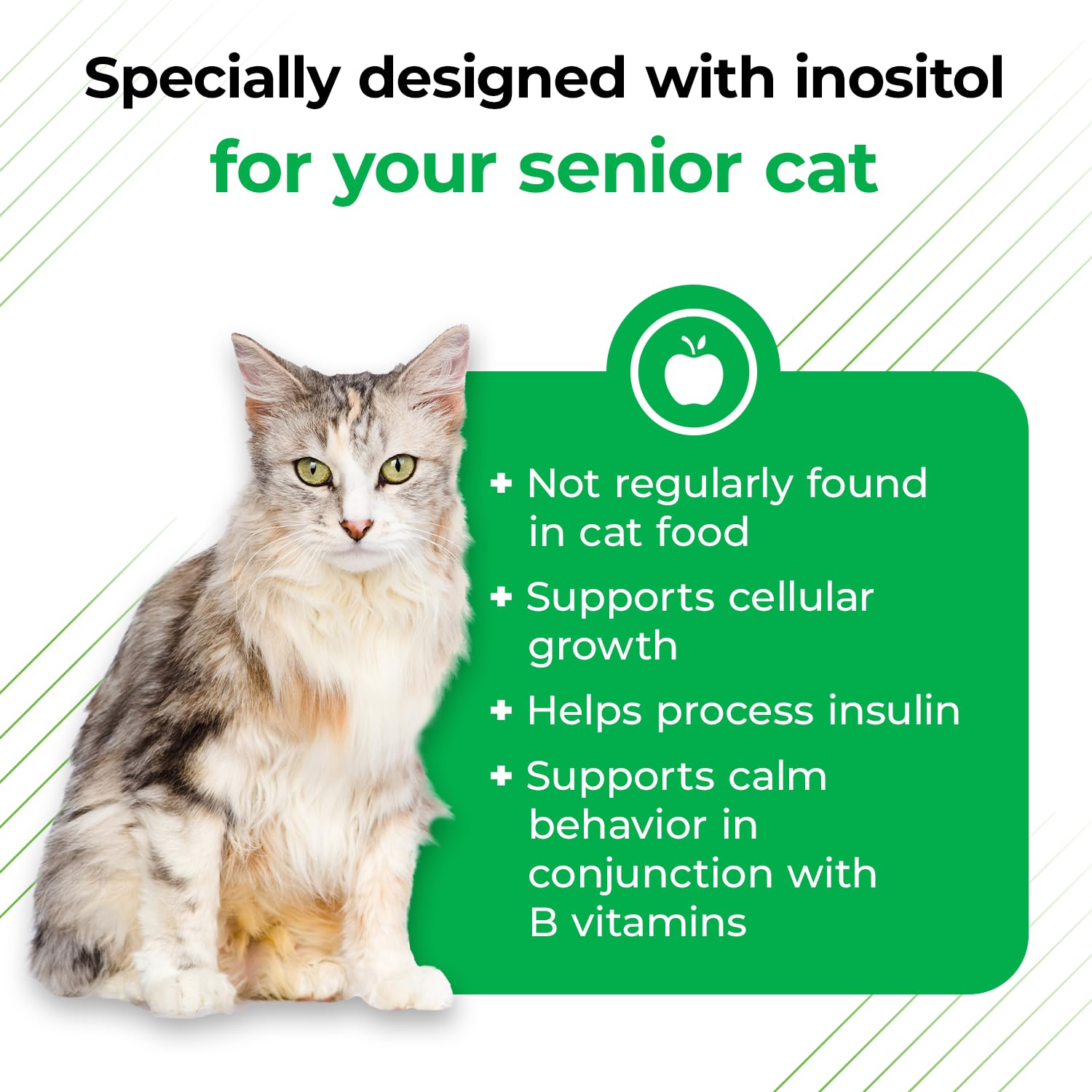 VetriScience Nu Cat Senior Multivitamin with Lysine for Cats - 30 Chews - Cat Supplements & Vitamins Designed to Support Heart,