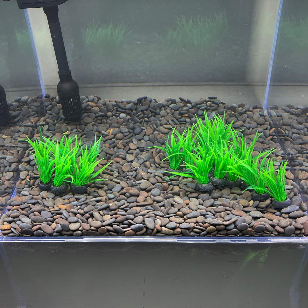 Smoothedo-Pets Aquarium Plants Fish Tank Decorations 20Pcs Small Size/1Inch Tall Plastic Artificial Plant Goldfish Waterscape Fish Hides Mini Grass Set (Green-B)