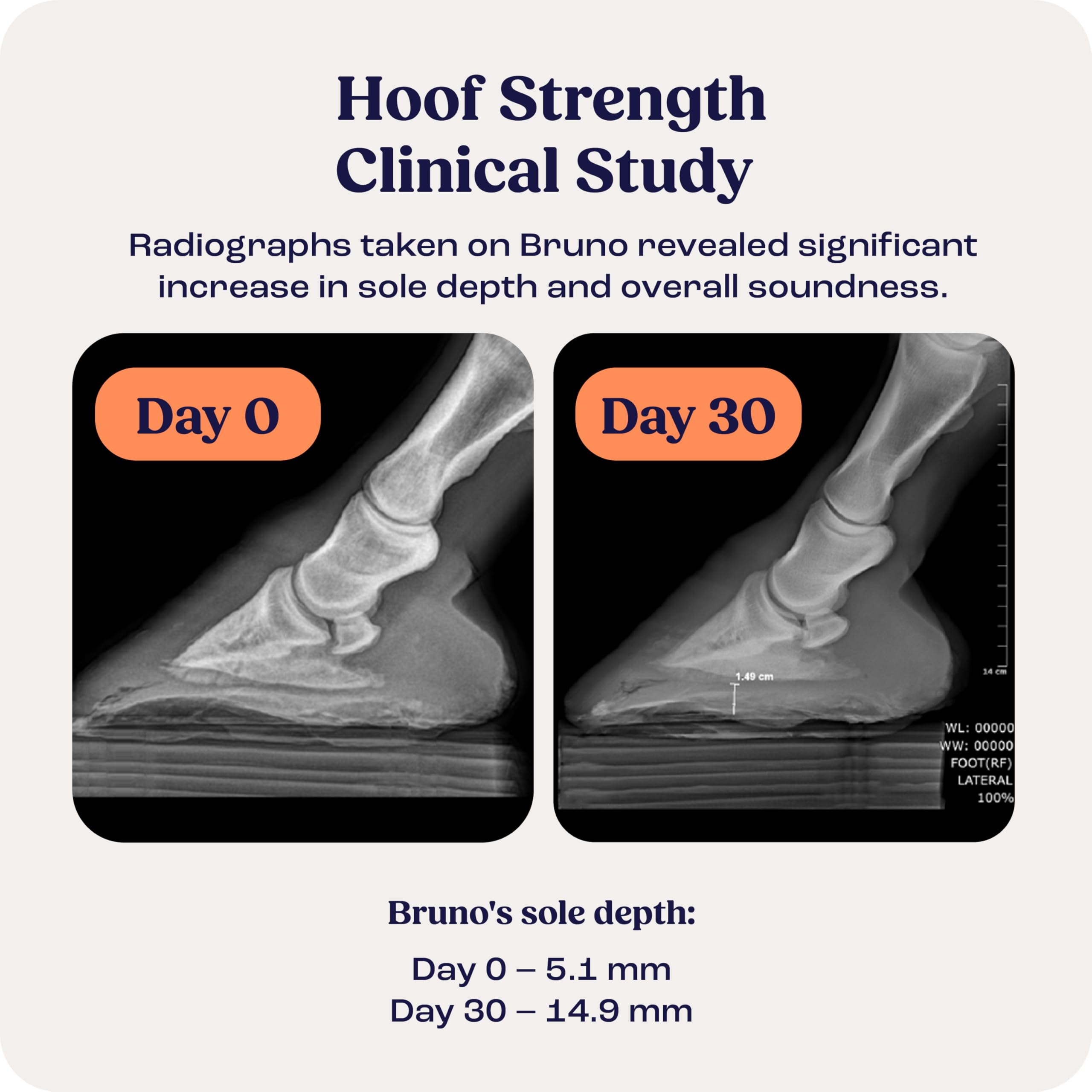 Summit Equine Hoof Strength Powder for Horses, Promotes Healthy Hooves with Biotin, Amino Acids, and Minerals, Horse Hoof Supple