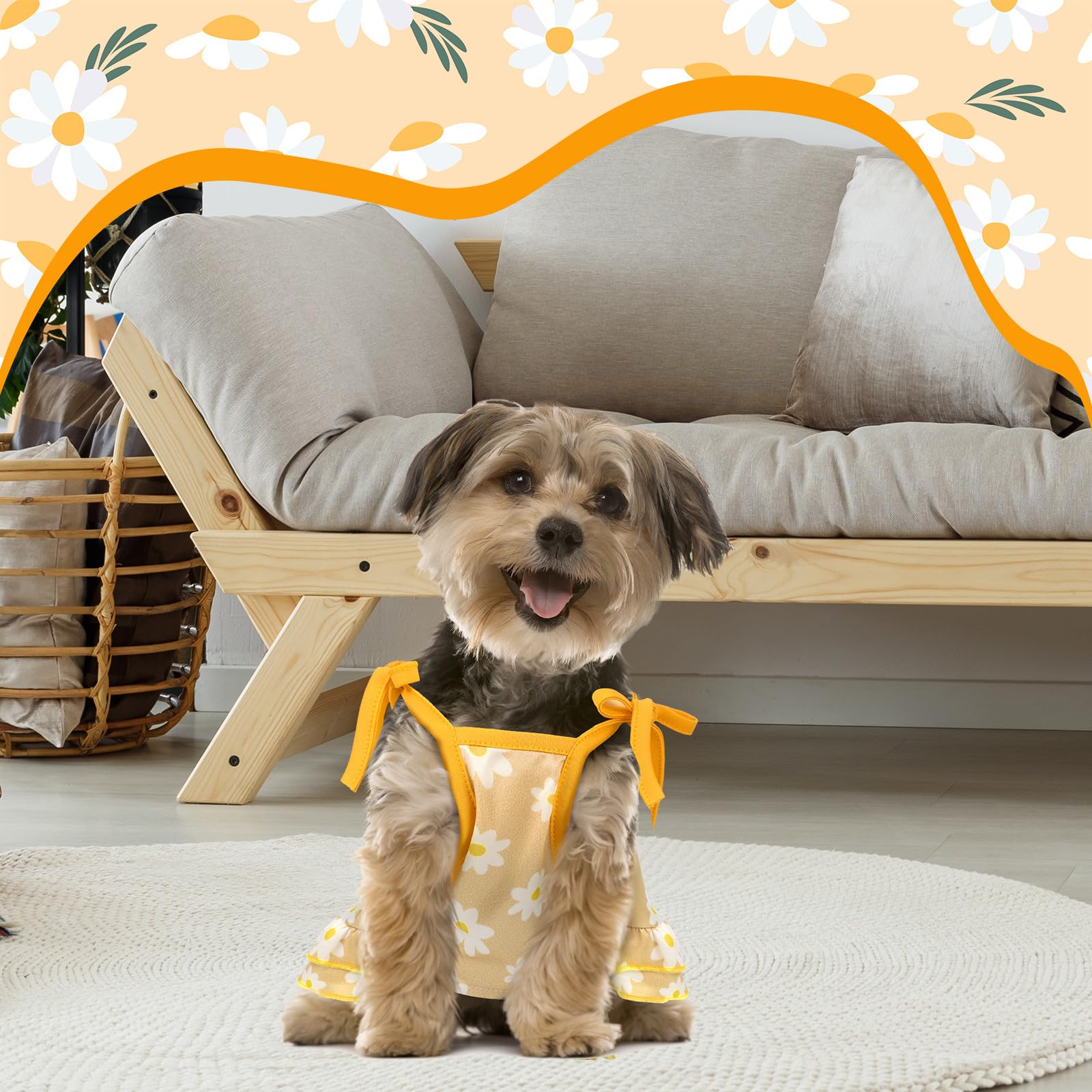 Frienda 4 Pieces Pet Clothes Set Include 2 Pieces Cute Pet Dress Lovely Dog Dress And 2 Pcs Breathable Dog T Shirt Puppy Clothes