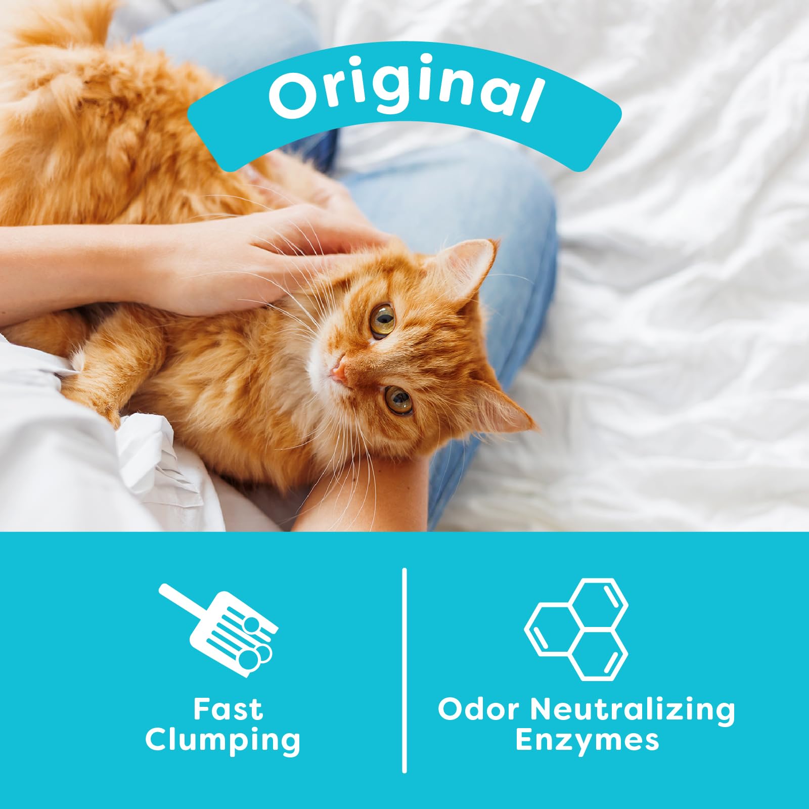 Swheat Scoop Natural Wheat Cat Litter, Original, Fast Clumping With Odor Neutralizing Enzymes, 25 Pound Bag