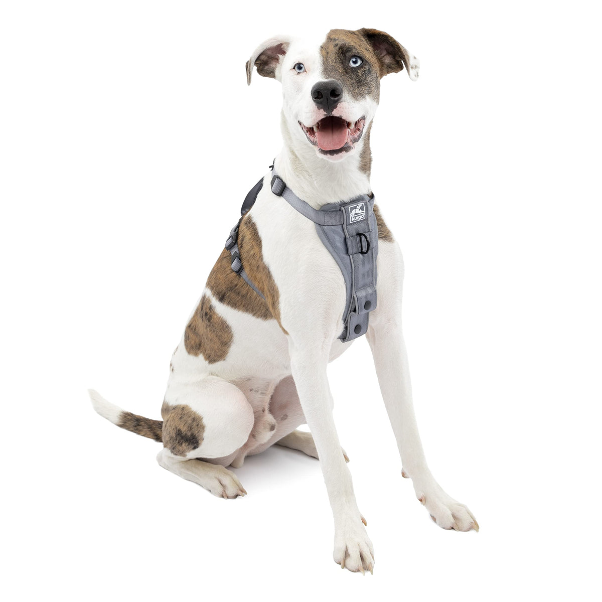 Kurgo Tru-Fit Smart Harness, Dog Harness, Pet Walking Harness, Quick Release Buckles, Front D-Ring For No Pull Training, Include