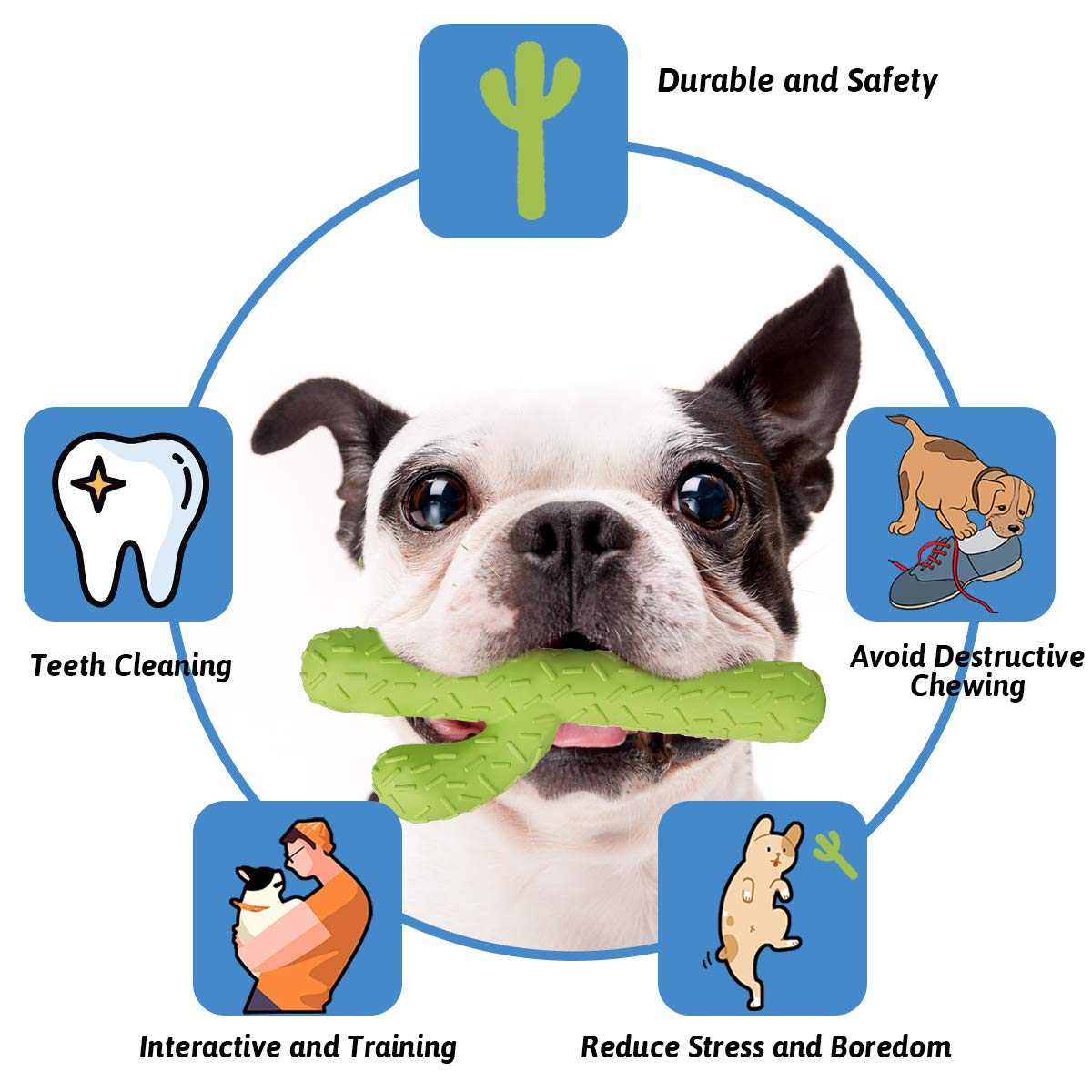 Mewajump Dog Chew Toys, Tough Rubber Dog Toys For Aggressive Chewers, Cactus Dog Toys For Training And Cleaning Teeth, Interacti
