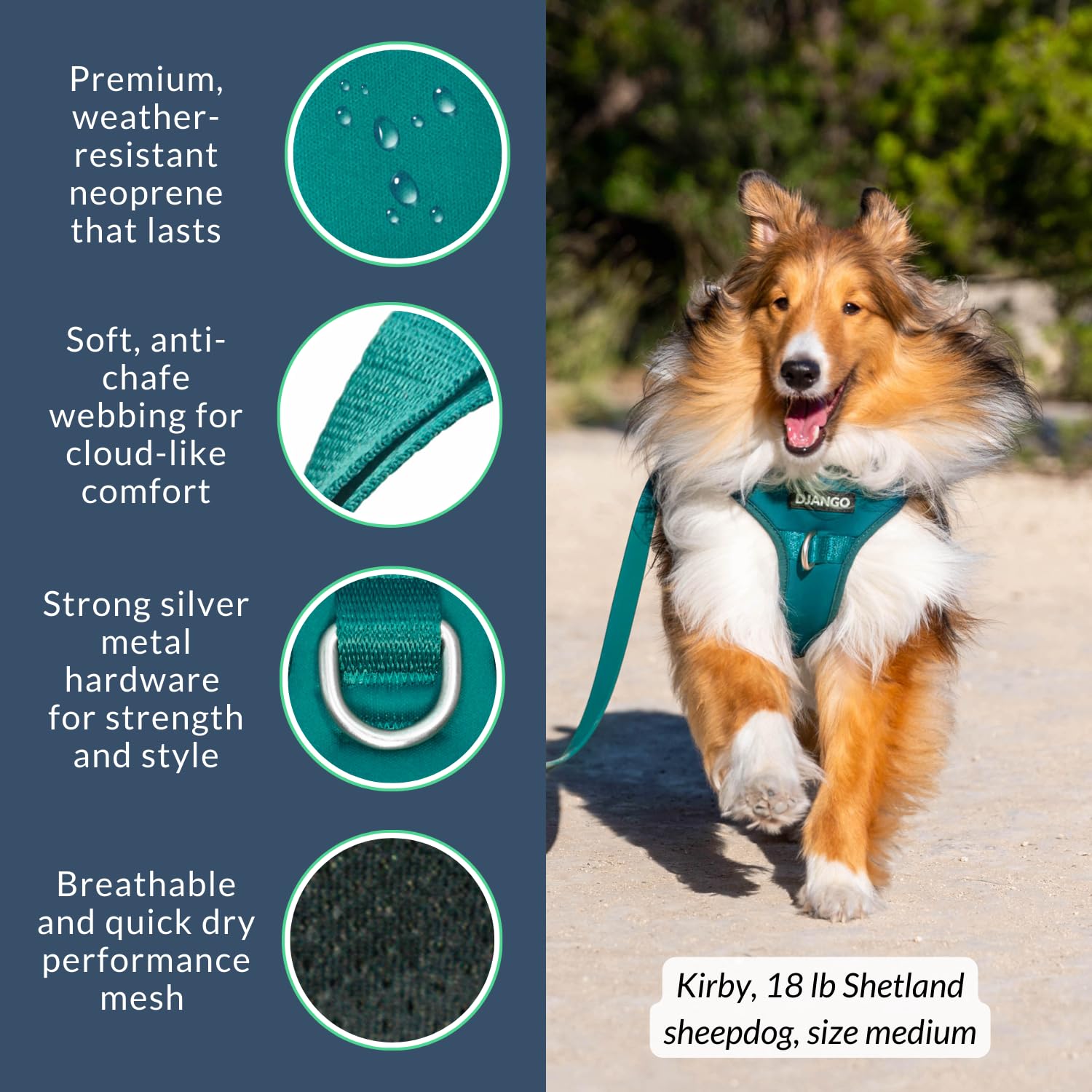 DJANGO Tahoe No Pull Dog Harness - Durable and Comfortable Neoprene Pet Harness for Dogs - Padded Pet Harness for Everyday Use -