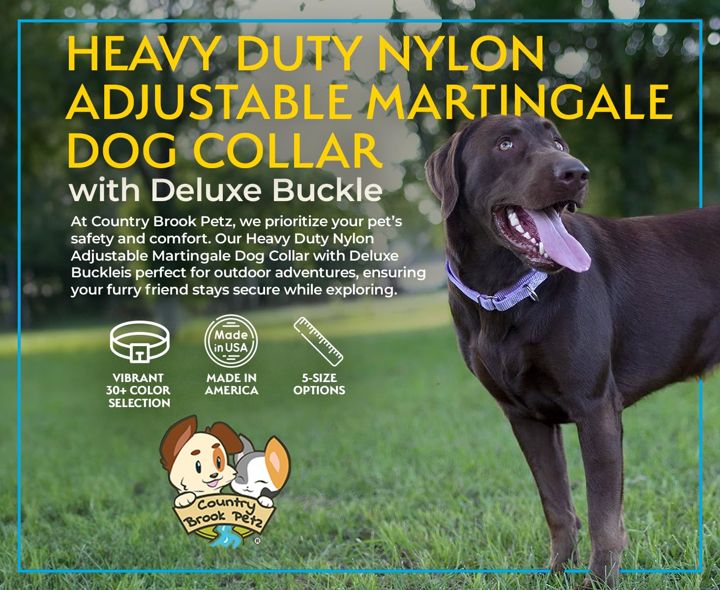 Country Brook Petz Heavy Duty Nylon Adjustable Martingale Dog Collar With Deluxe Buckle For Small Medium Large Breeds - 30+ Vibr
