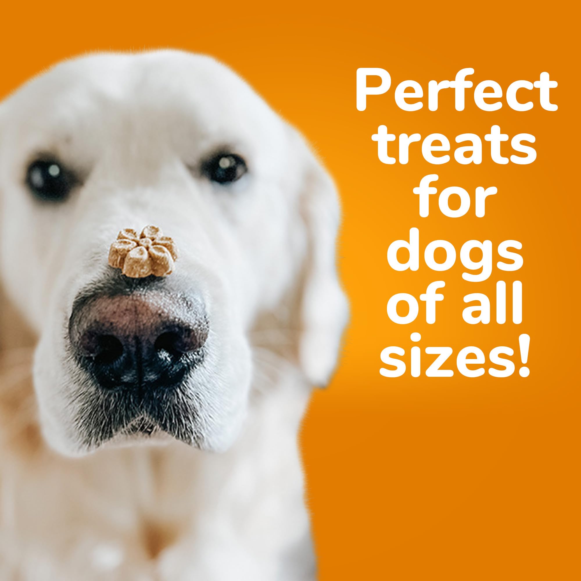 Fruitables Baked Dog Treats - Sweet Potato Treats for Dogs - Healthy Low Calorie Treats - Free of Wheat, Corn and Soy - Sweet Po