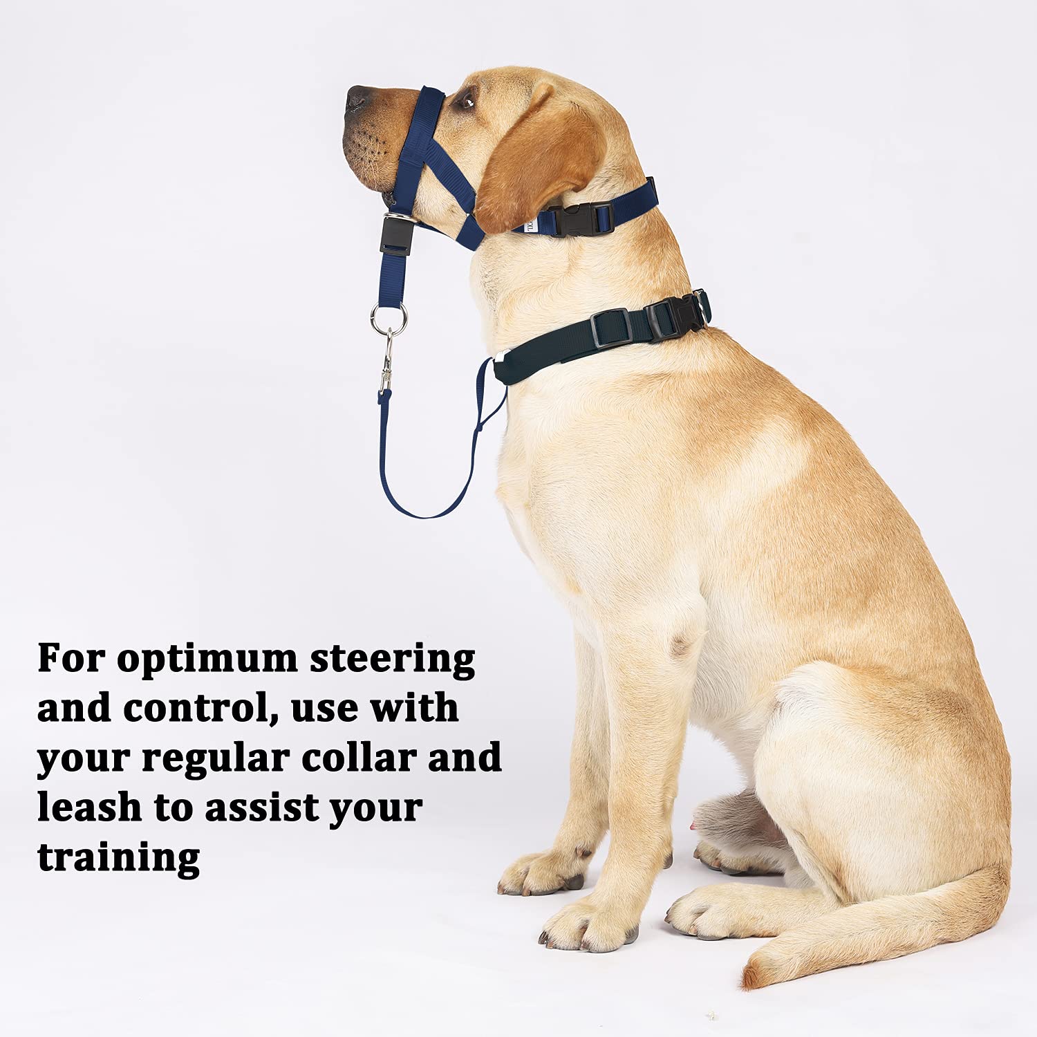No-Pull Head Collar For Dogs Training & Walking Made Easy, Soft Dog Halter Harness With Expert Training Guide - Put An End To Pulling On The Leash (M, Navy Blue)