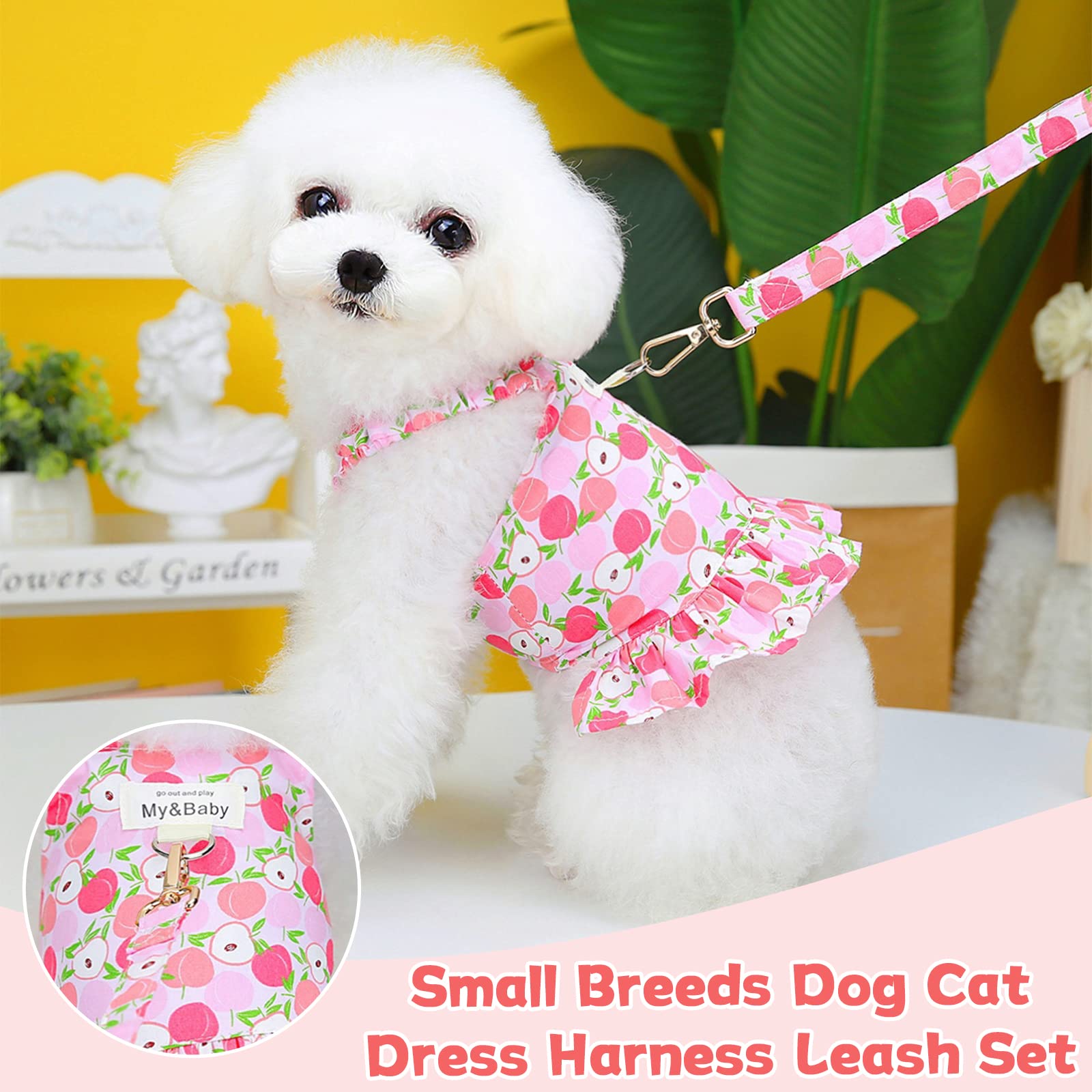 Petpubgnzs Small Dog Dress Harness And Leash Set - Cute Princess Dog Dresses, Soft Fruit Print, Pink Apple, Xl