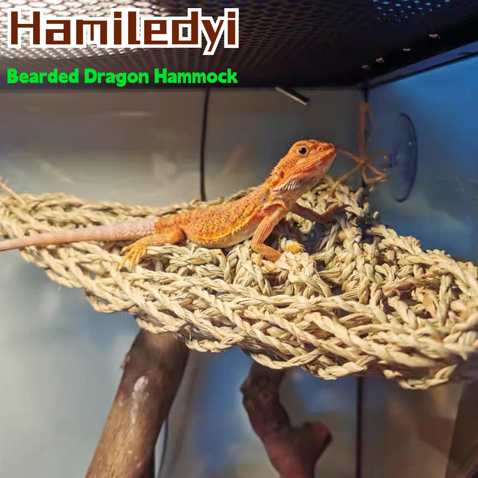 6Pcs Bearded Dragon Hammock Lizard Natural Seagrass Hammock Reptile Jungle Climbing Vines And Leaves With Suction Cups Habitat Décor Tank Accessories For Hiding& Climbing Snake Gecko Bird Chameleon