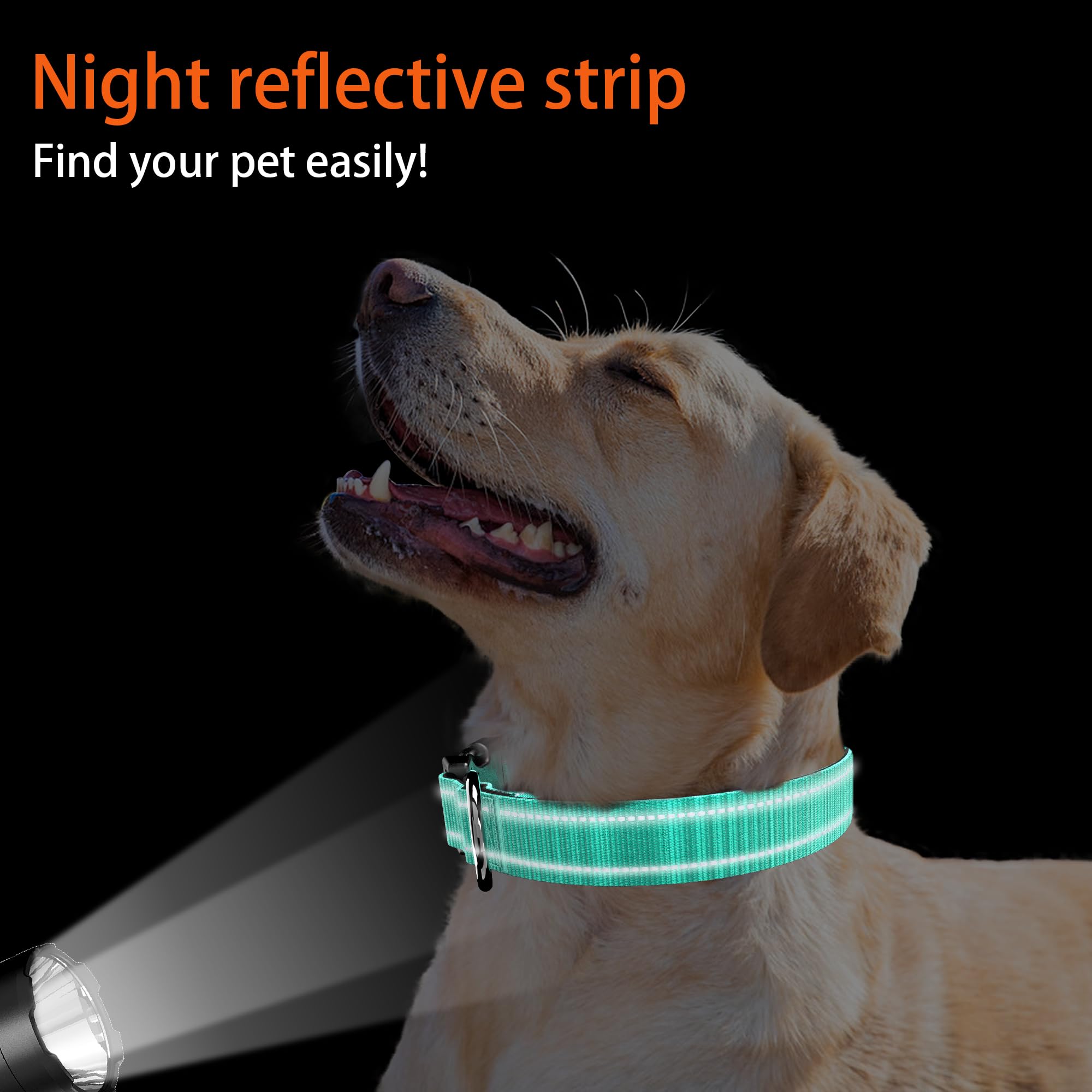 Dog Collar With Qr Code, Reflective Pet Collar, Soft Neoprene Padded & Safety Locking Buckle Adjustable Dog Collar For Small Dog