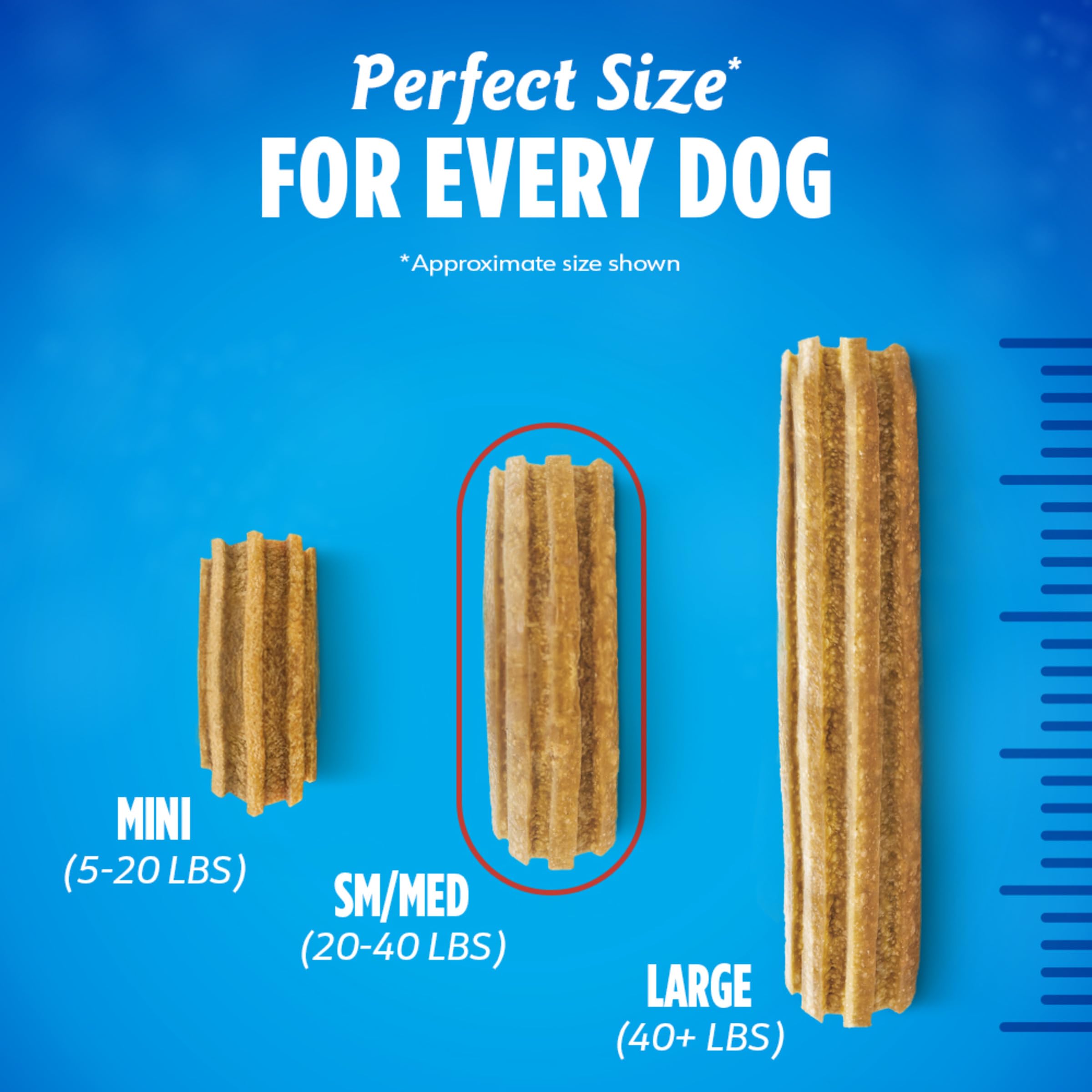 DentaLife Made in USA Facilities Small/Medium Dog Dental Chews, Daily - 40 ct. Pouch