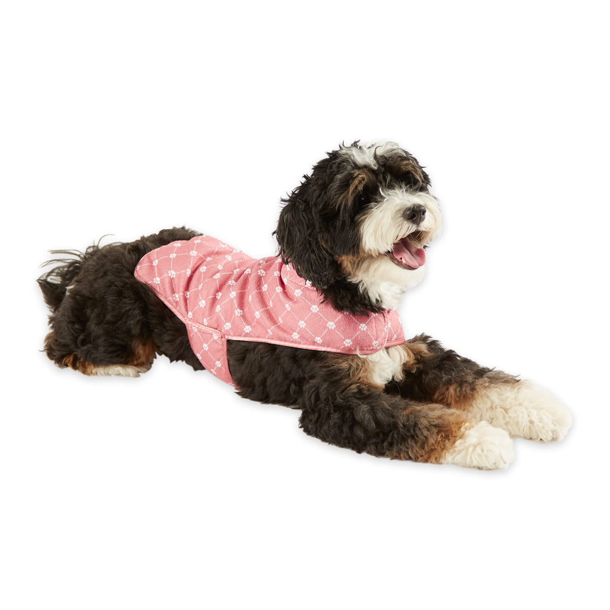 Bone Dry Pet Robe Collection, Trellis Paw Print, Absorbent Microfiber Bath Robe with Adjustable Closure for Dogs & Cats, X-Small, Rose