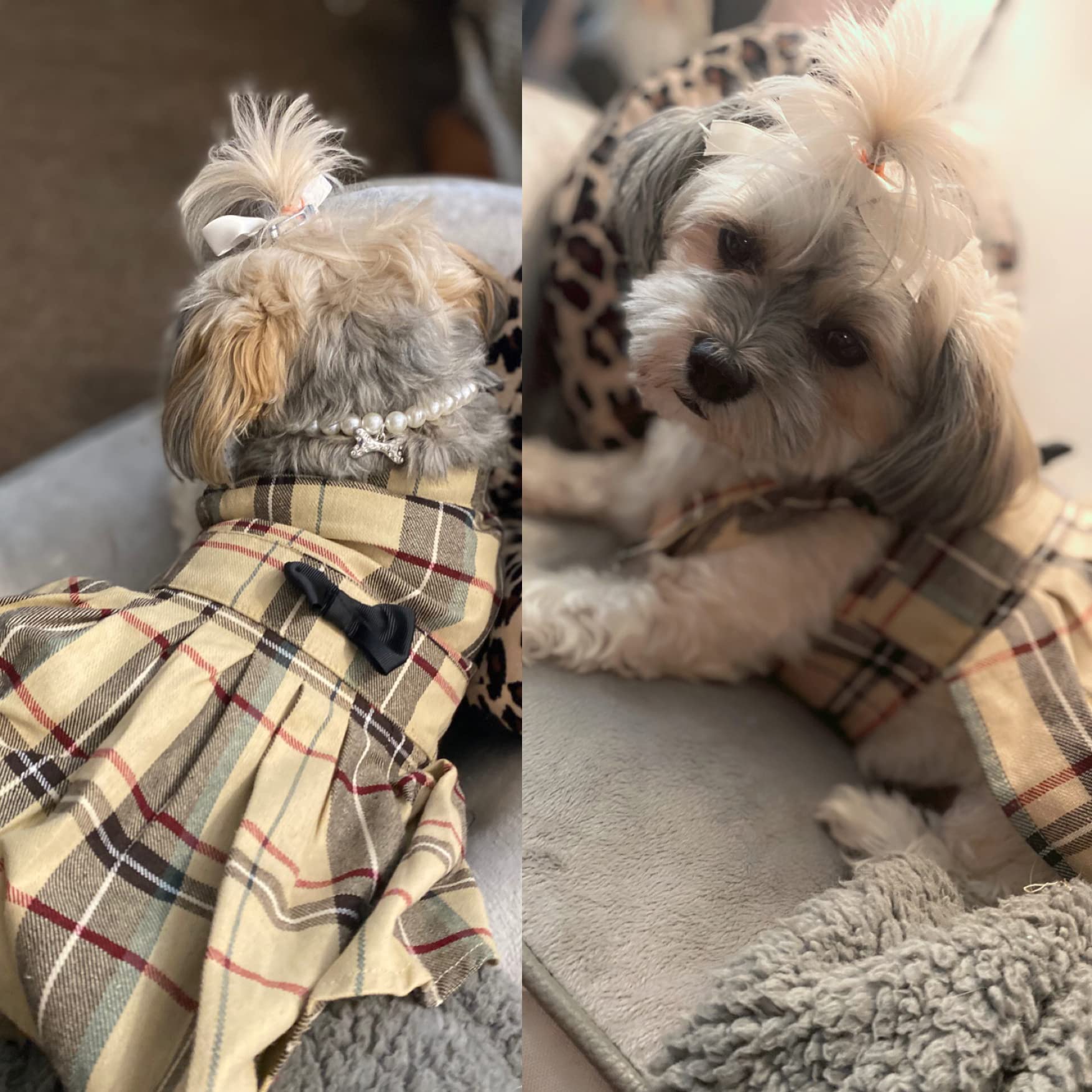 Pupteck Classic Plaid Dog Dress Cute Puppy Clothes Outfit Small