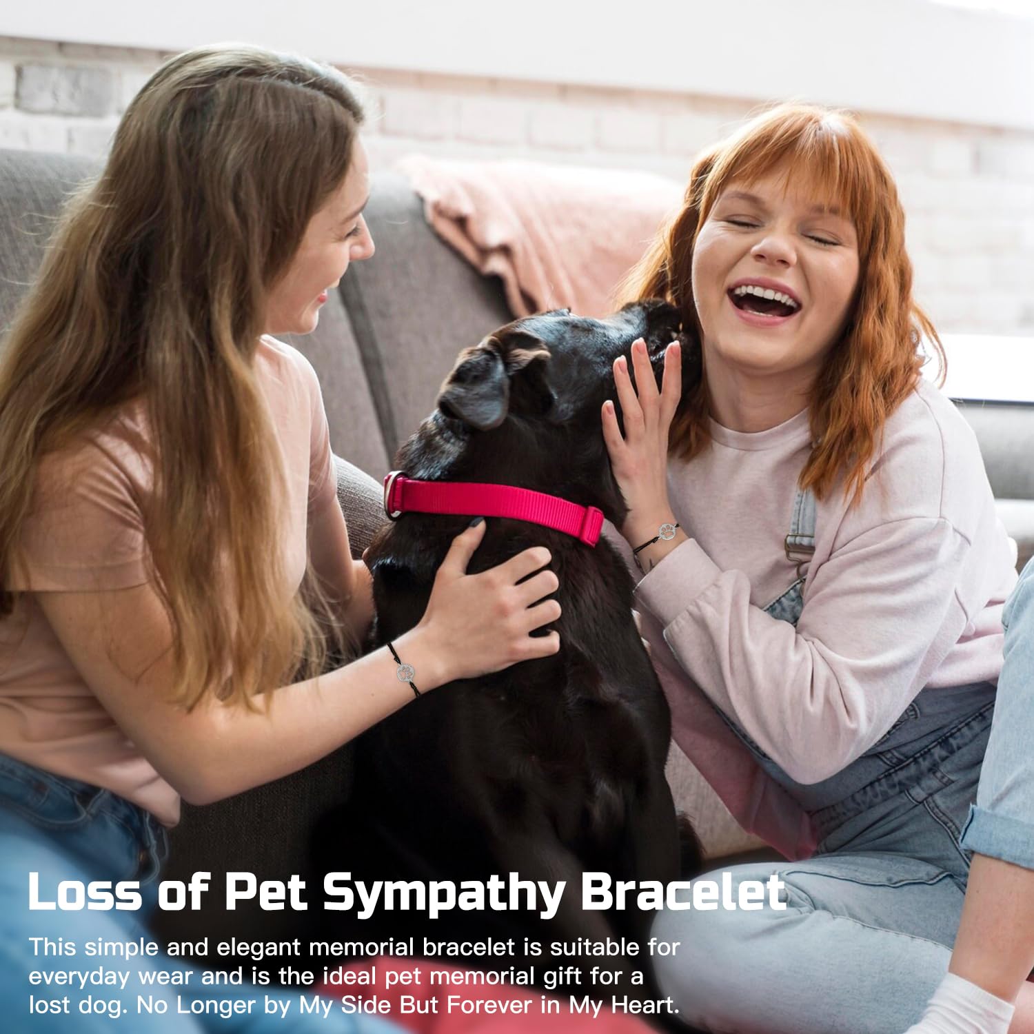 Iaovueby Dog Memorial Gifts For Loss Of Dog, Loss Of Dog Sympathy Gift Baskets, Dog Passing Away Bereavement Remembrance Gifts,