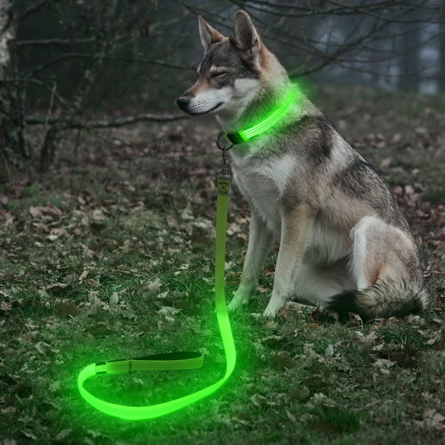Bseen Light Up Dog Leash, Refelctive Led Dog Leash Rechargeable Glowing Pet Lead Safety Dog Lights For Night Walking (4 Ft, Reflective Green)