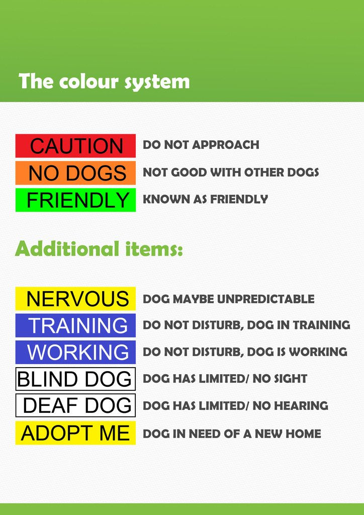 Deaf Dog Dexil Friendly Dog Collars Color Coded Dog Accident Prevention Leash 6Ft/1.8M Prevents Dog Accidents By Letting Others Know Your Dog In Advance Award Winning