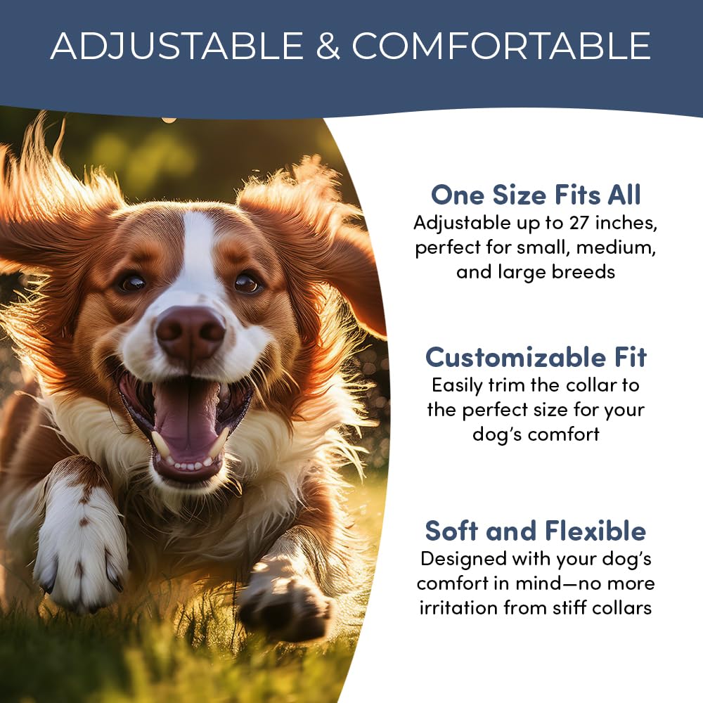 Organic Flea And Tick Collar For Dogs And Cats-2 Pack-Each Lasts 8-Months Using Natural Plant-Based Oils - Waterproof-Safe For P