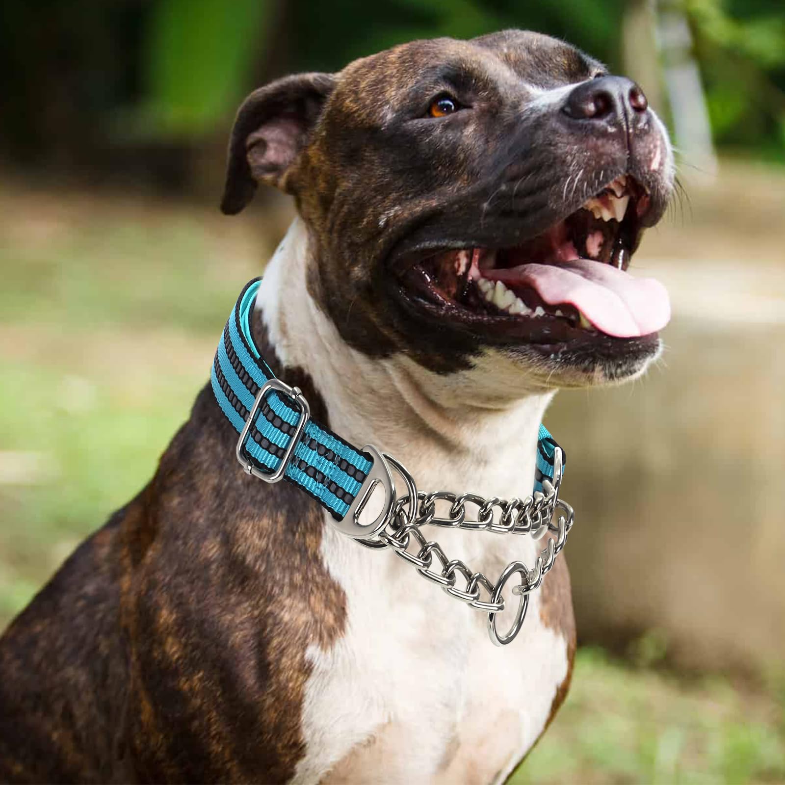 Reflective Martingale Collar For Dogs With Steel Chain, Adjustable No Pull Dog Training Collar With Soft Padded For Large Breed