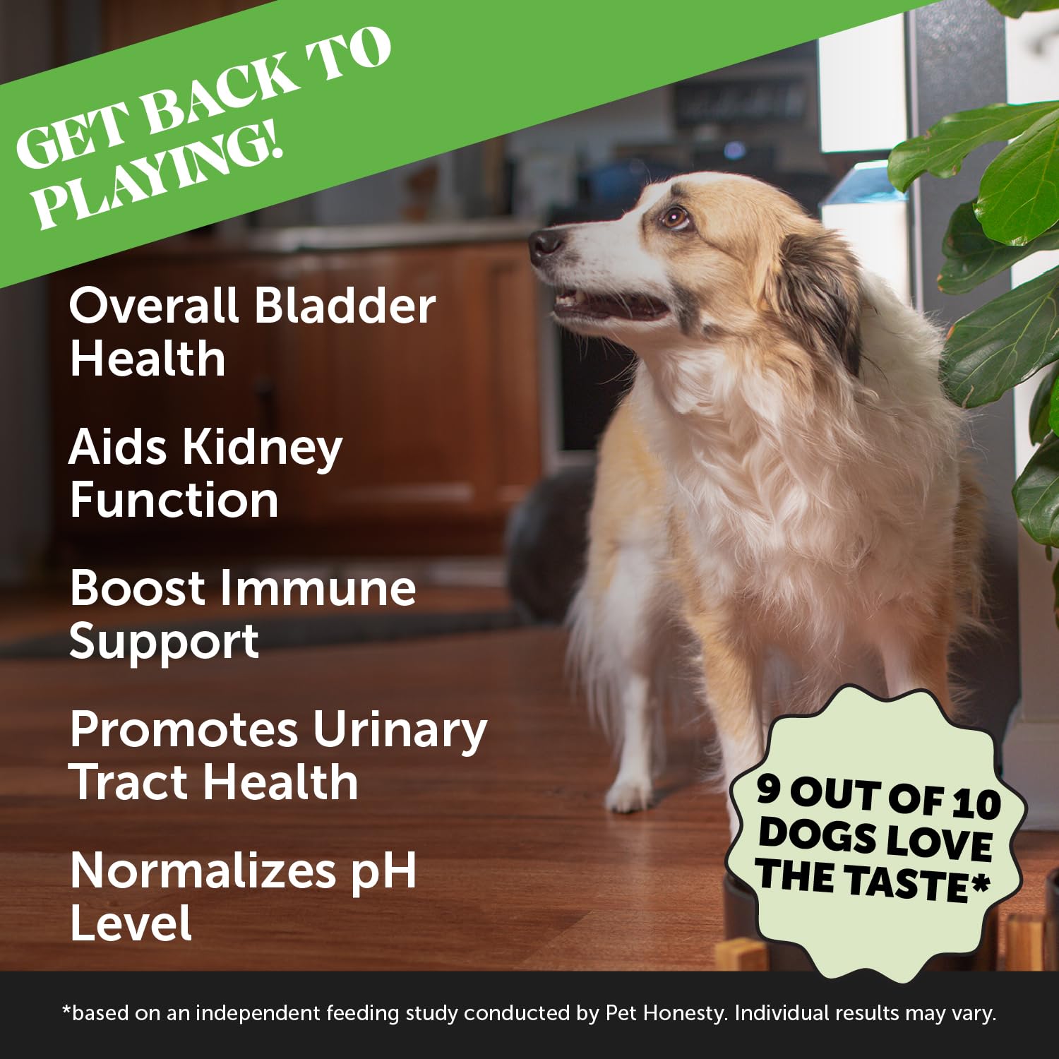 Pet Honesty Bladder Health Cranberry Supplement for Dogs - Kidney Support for Dogs - Cranberry & D-Mannose to Help Support Dog U