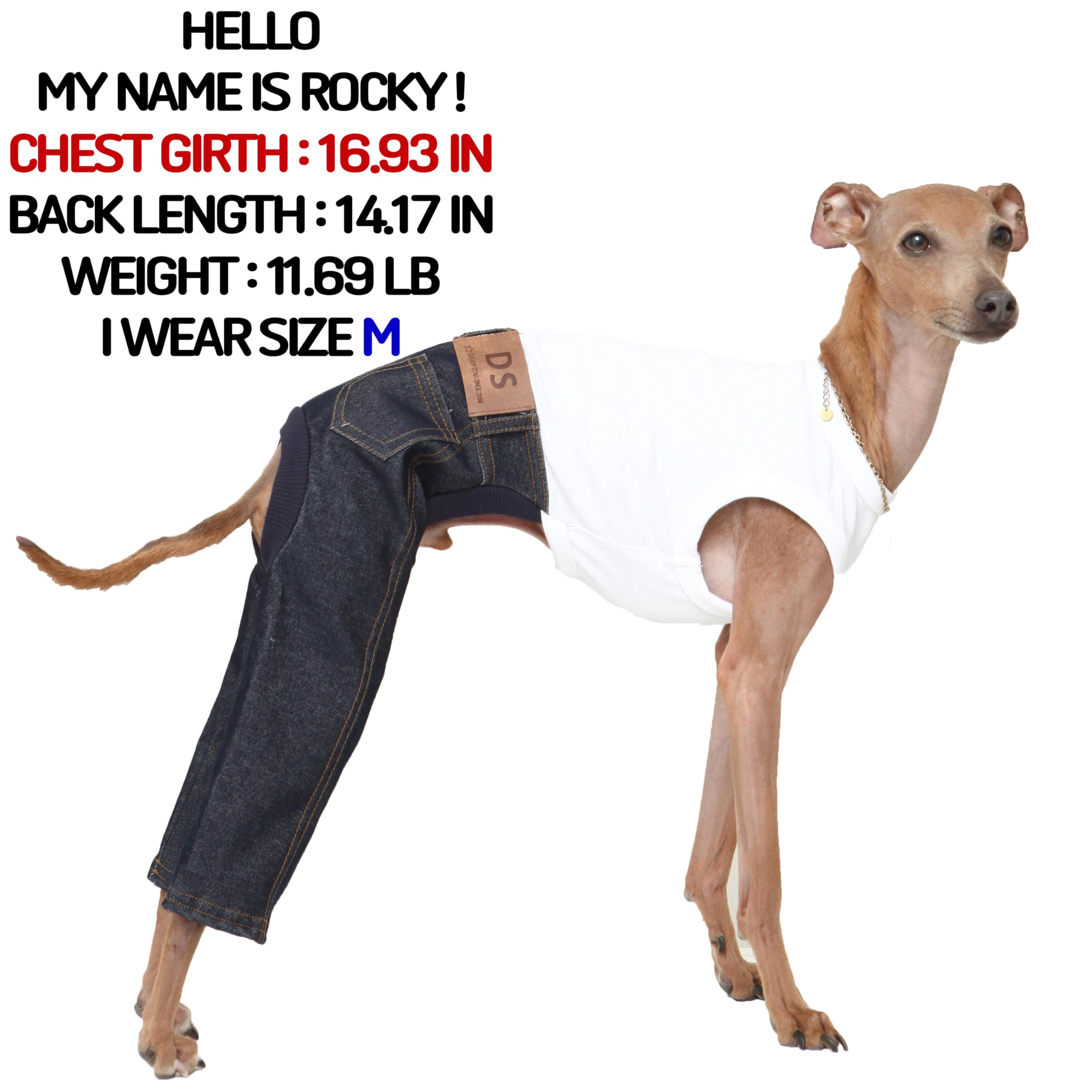 D Doggy Star Italian Greyhound Clothes Sleeveless Jeans Onesie Outfit Whippet For Dog Coat (3Xl,Blue Jean)