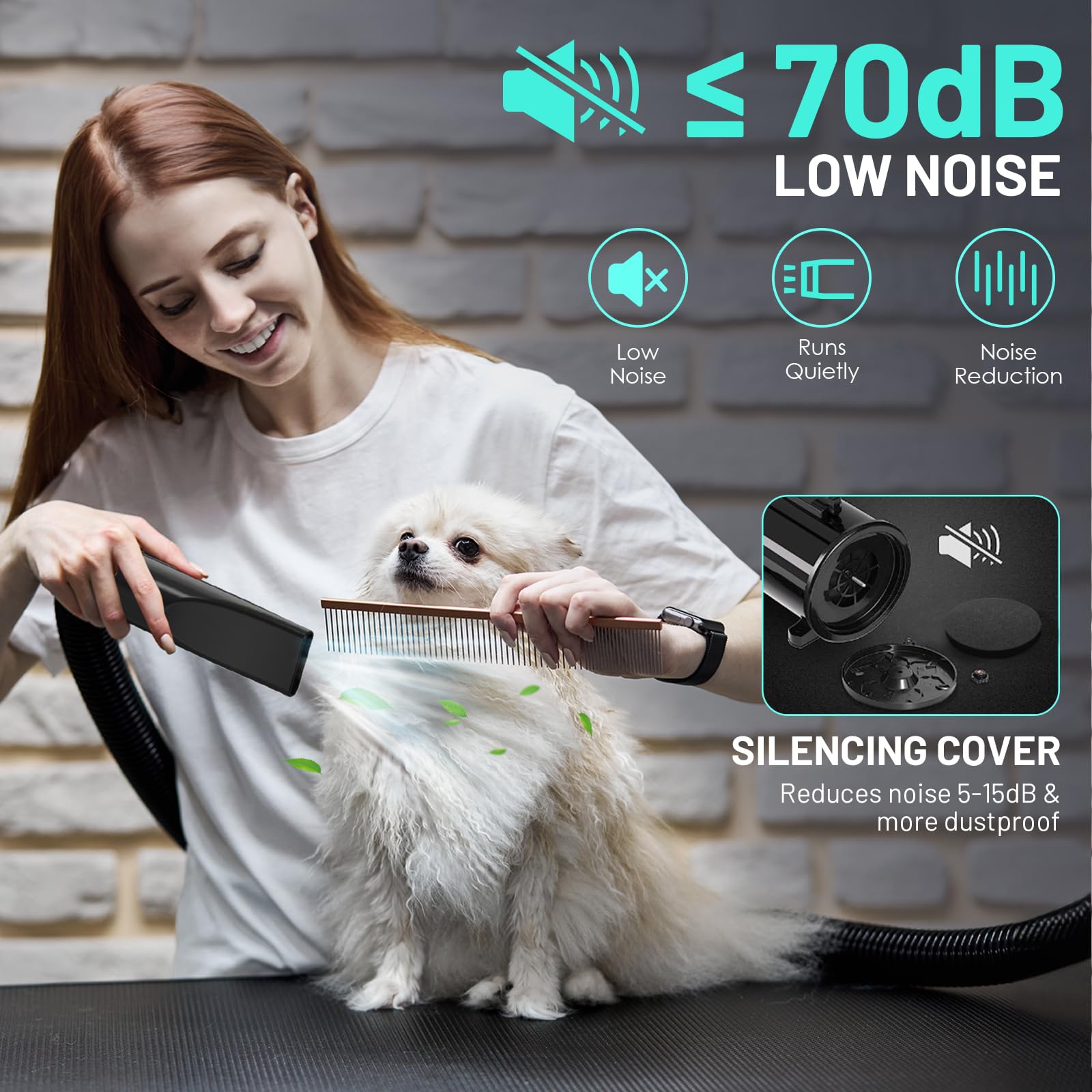 Dog Dryer High Velocity Dog Hair Dryer With 4 Nozzles 5.2Hp/3800W (Professional Super Cyclone), Stepless Adjustable Speed Temper