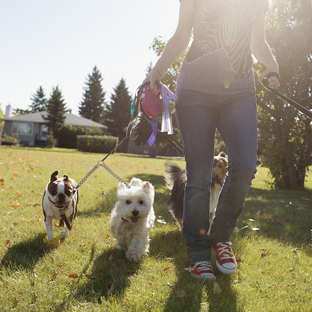 Pettom Heavy Duty 2 Way Dog Lead Metal Chain Double Pet Clip Leash Coupler (M 3.5Mm*60Cm Double Leash, Silver)