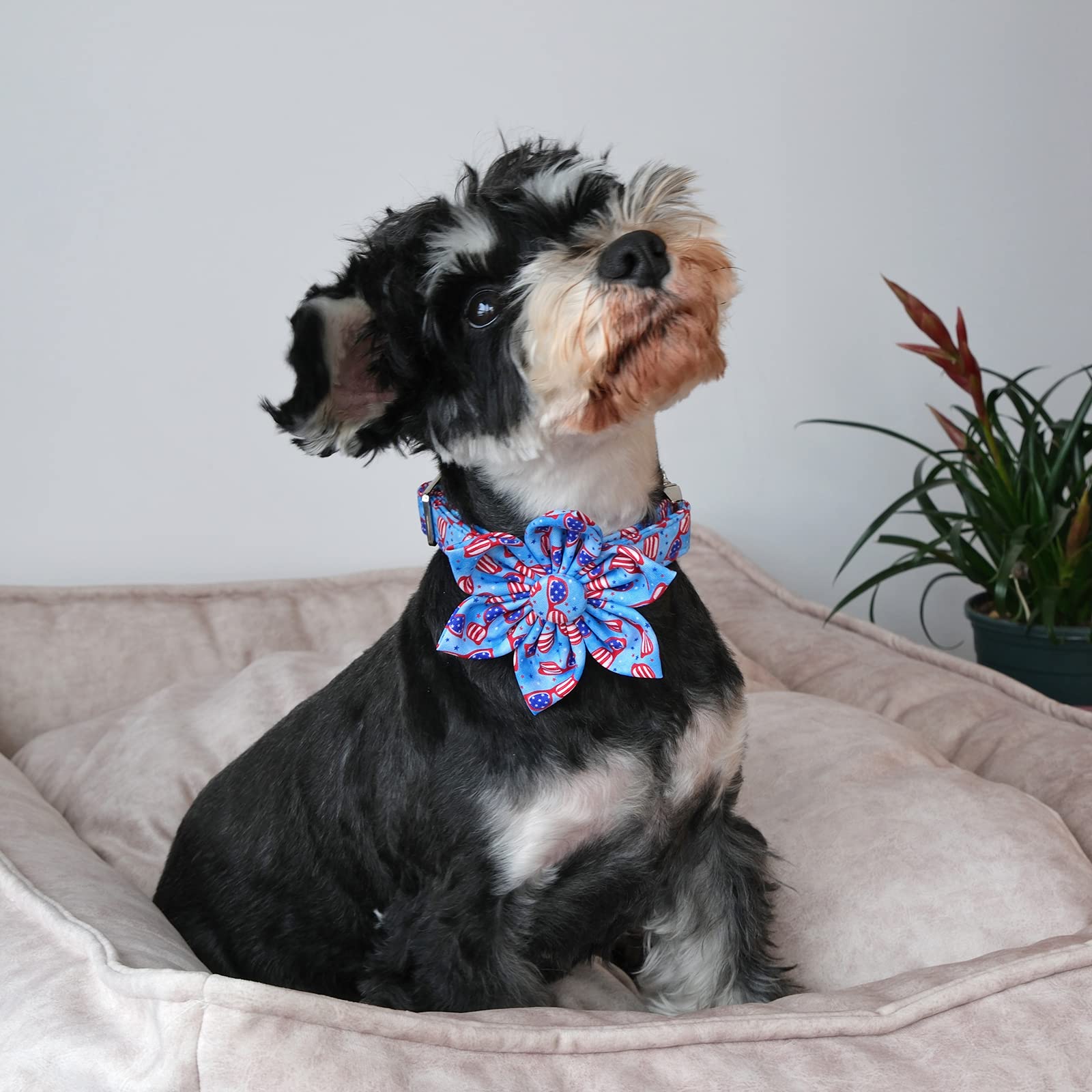 Aring Pet American Flag Dog Collar-Adorable Summer Patriotic Dog Collar With Flower, Adjustable Fourth Of July Dog Collars With