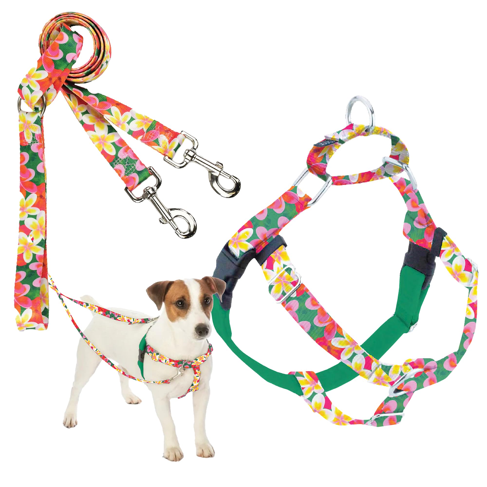 2 Hounds Design - Freedom No-Pull Harness & Training Leash In Green Aloha | Dual Leash Loops, No Pulling On Walks | Lined To Pre
