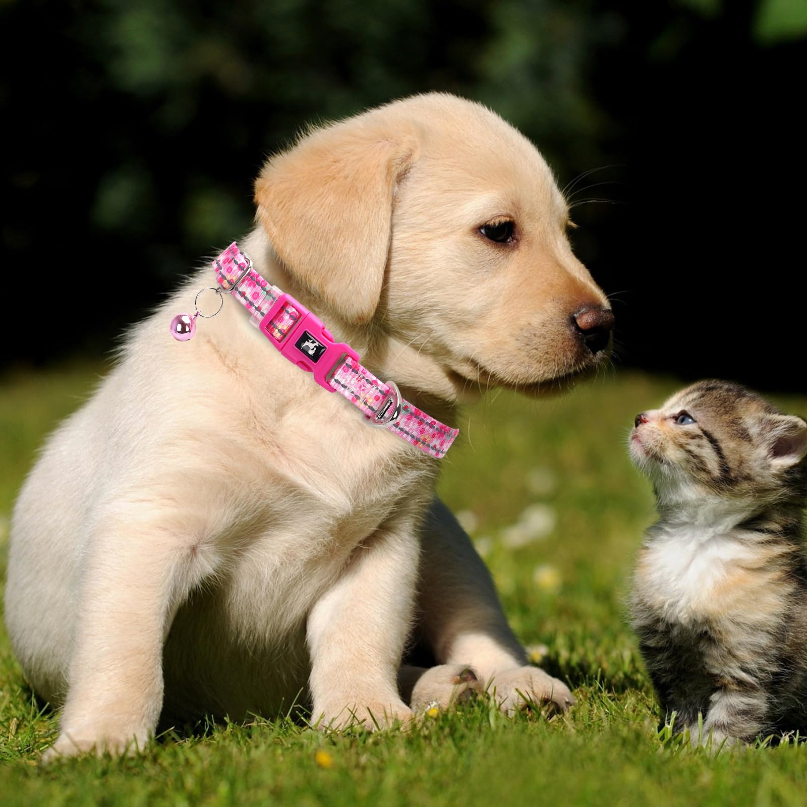 Pink Small Dog Collar With Bell - Reflective Soft Kitten-Safe Collar For Tiny Dogs, Adjustable Flower Pattern Nylon Collar For T
