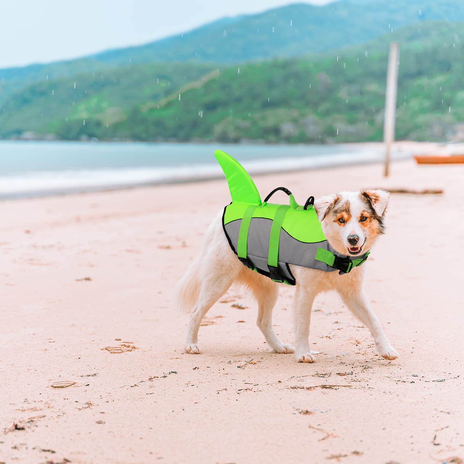 Asenku Dog Life Jacket Pet Life Safety Vest For Swimming Boating, Dog Shark Life Jackets Dog Lifesavers Swimsuits For Pool, Dog Water Floatation Vest For Small Medium Large Dogs, Green, Medium