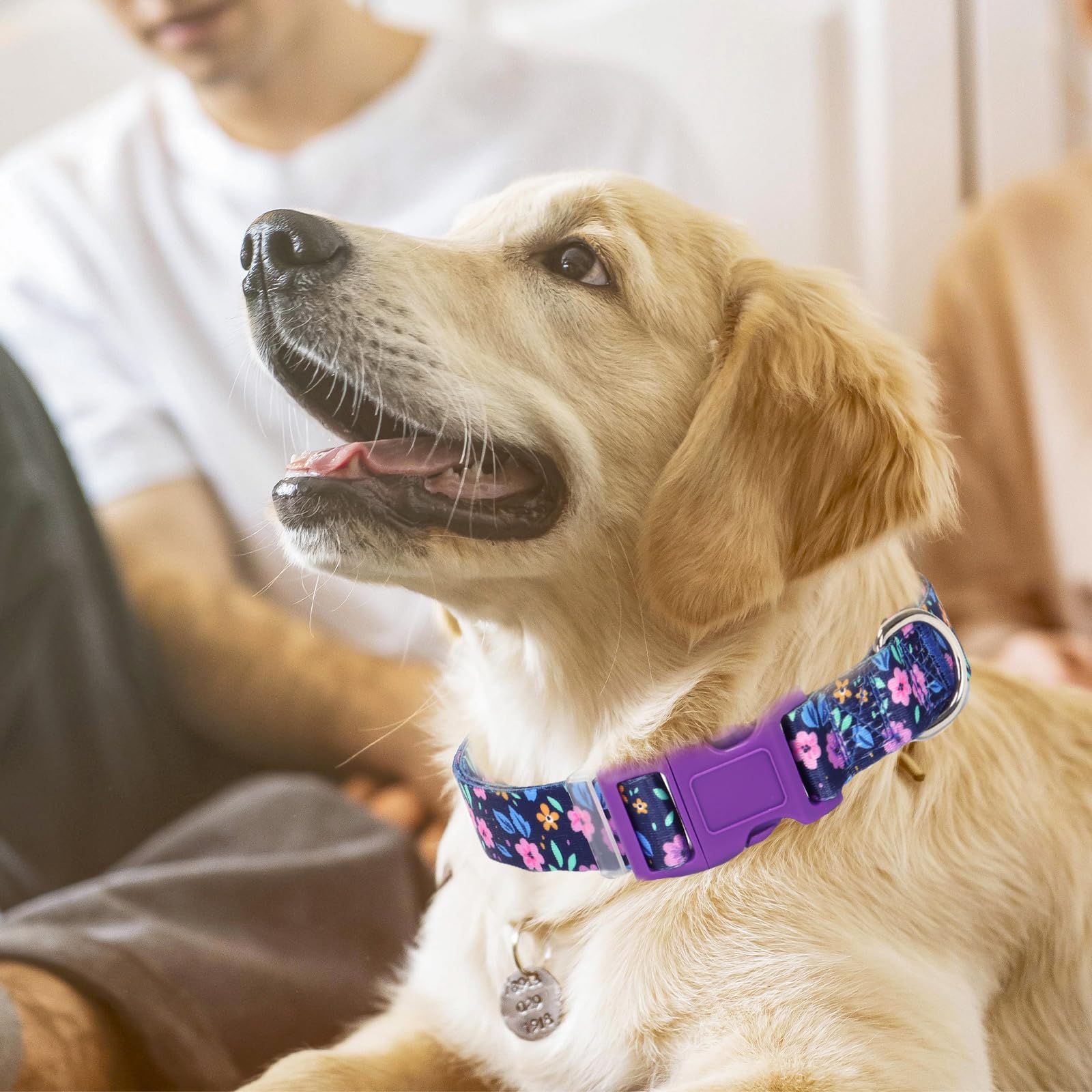 Dog Collar With Purple Flowers Patterns, Cute Girl & Boy Dog Collar Adjustable Soft Durable Pet Collar For Xs Small Medium Large