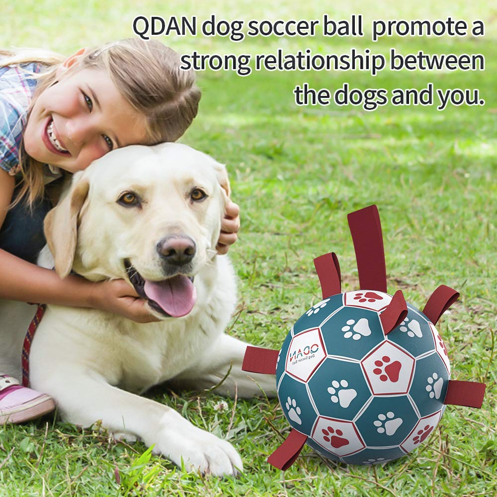 QDAN Interactive Dog Toys Basketball - Tug of War Toy for Small & Medium Dogs, 6 Inch, C-Dog Basketball, Durable Design