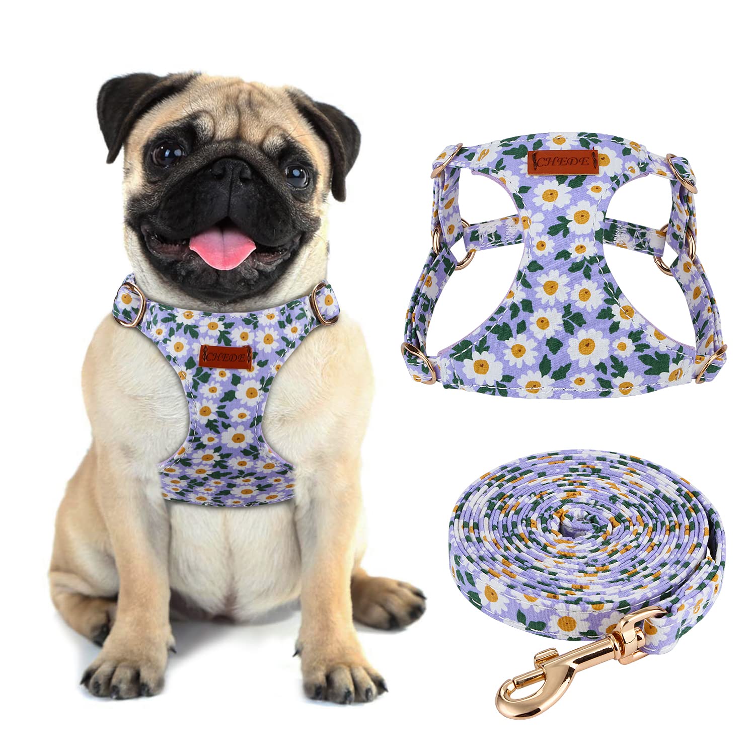 CHEDE No Pull Floral Pattern Dog Harness - Lightweight and Soft, Adjustable Small Dog Harness and Leash Set, with Dog Leash, Sui