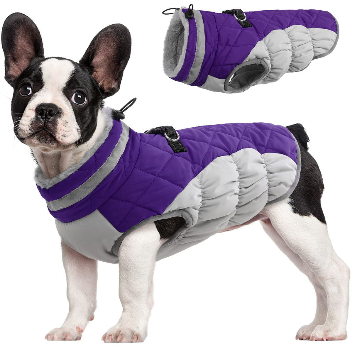 Fuamey Dog Coat - Warm Winter Jacket With Padded Fleece, Reflective, Waterproof & Windproof, Built-In Harness, Purple, Small