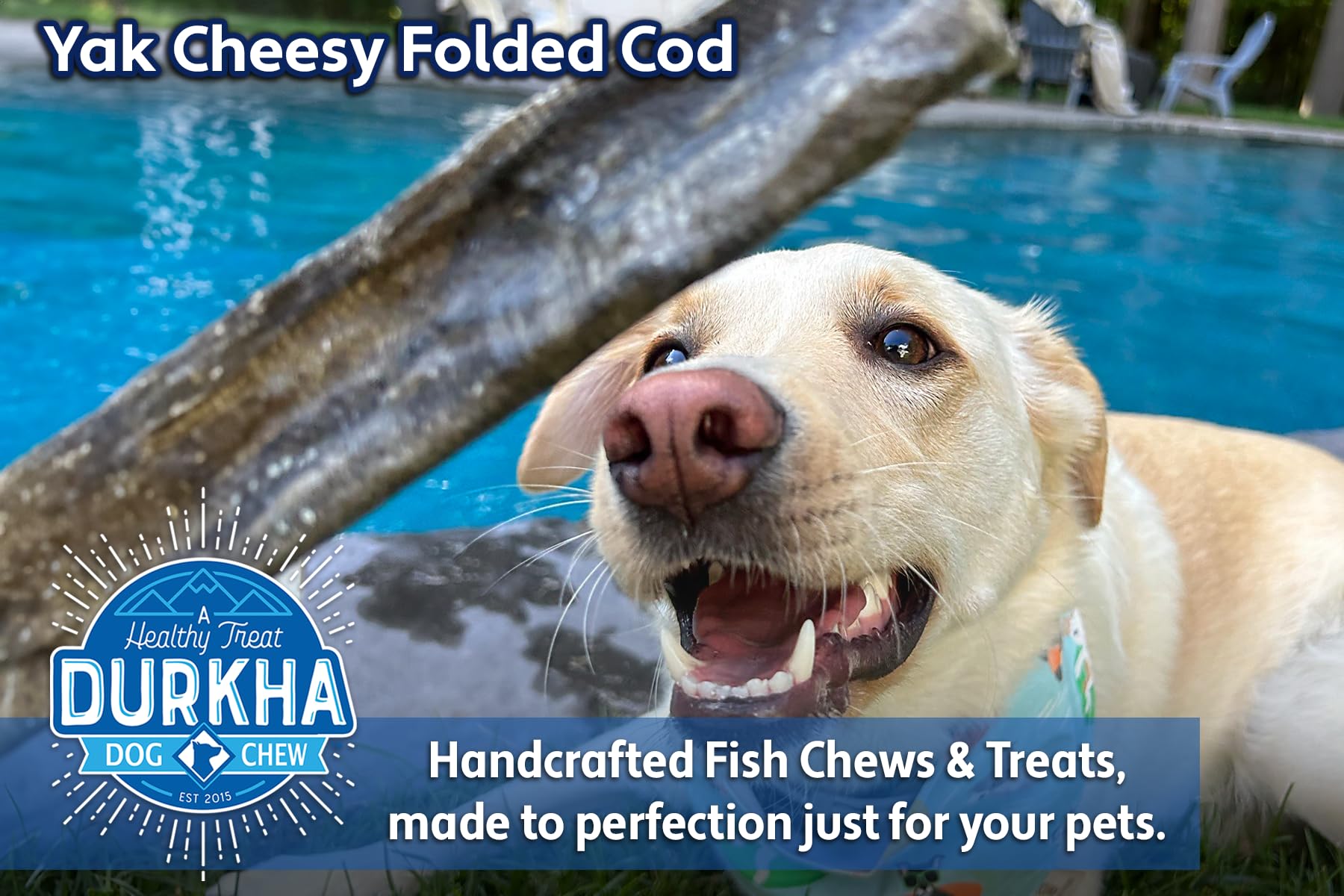 Durkha Fold Cod Dog Treats - All-Natural Fish Treats, High in Omega-3, Infused with Himalayan Yak Cheese, Ideal for Sensitive St