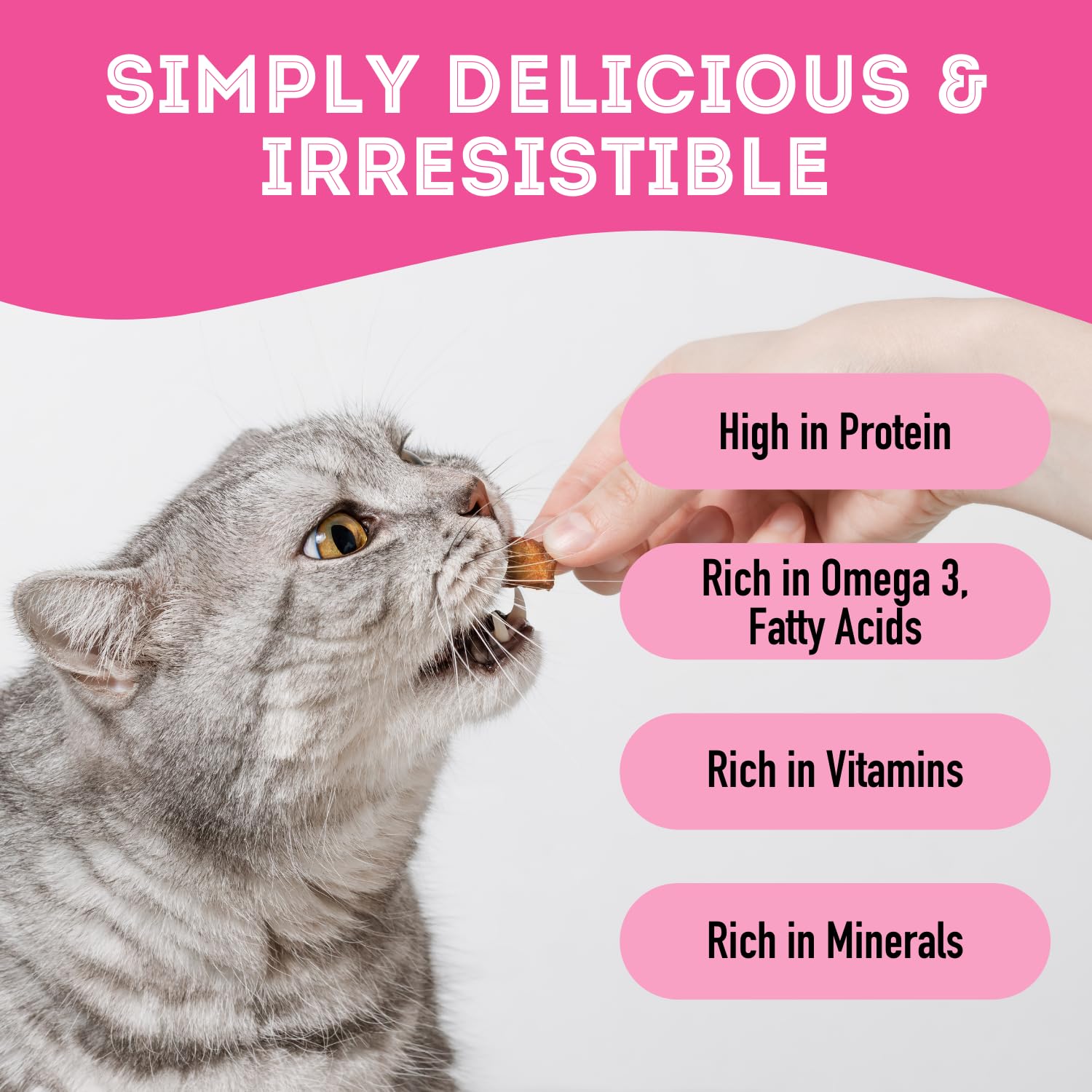 The Granville Island Pet Treatery Freeze Dried Salmon Treats for Dogs & Cats (1.76 oz, Pack of 1) - Single Ingredient Dog Treats