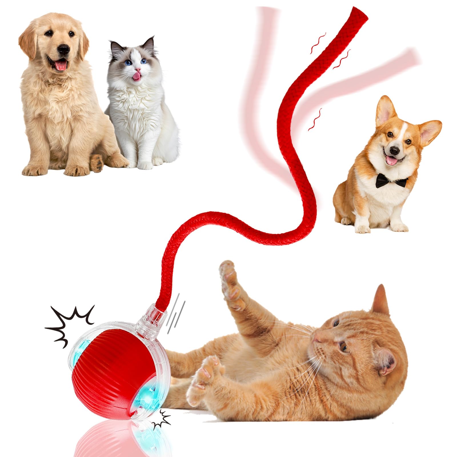 Guyugoey Interactive Electric Automatic Rolling Moving Rechargeable Self Play Stimulation Toy,Smart Pet Chase Ball with Speedy T