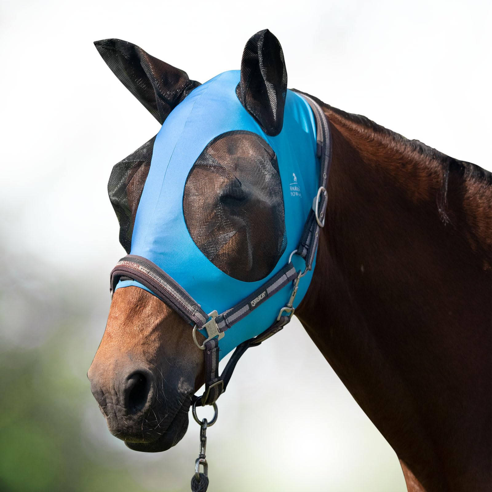 Harrison Howard Super Comfort Stretchy Fly Mask Large Eye Space with UV Protection Soft on Skin with Breathability Azure Blue L 