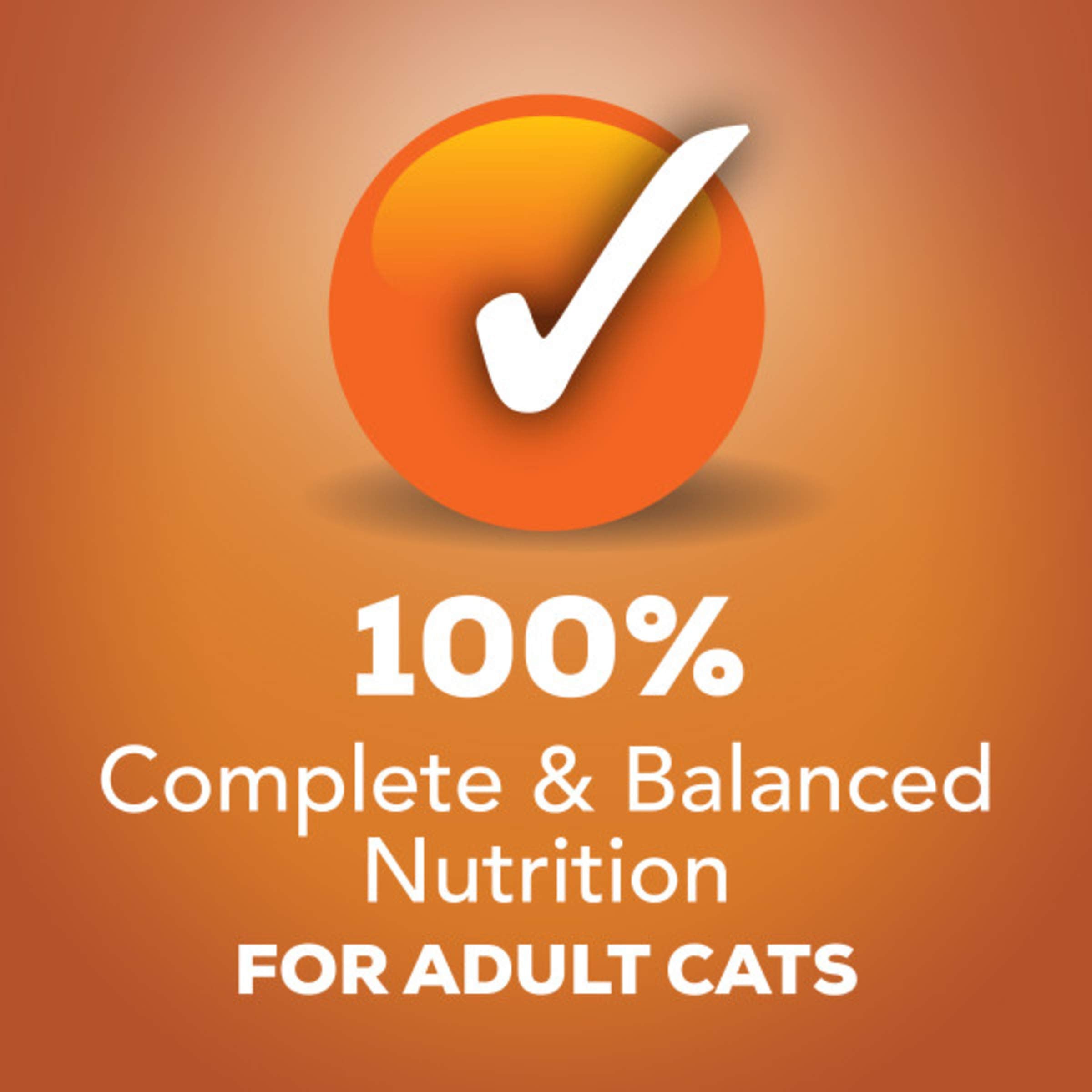 Purina Friskies Gravy Wet Cat Food Variety Pack, Prime Filets & Shreds Turkey & Chicken Favorites - (40) 5.5 oz. Cans