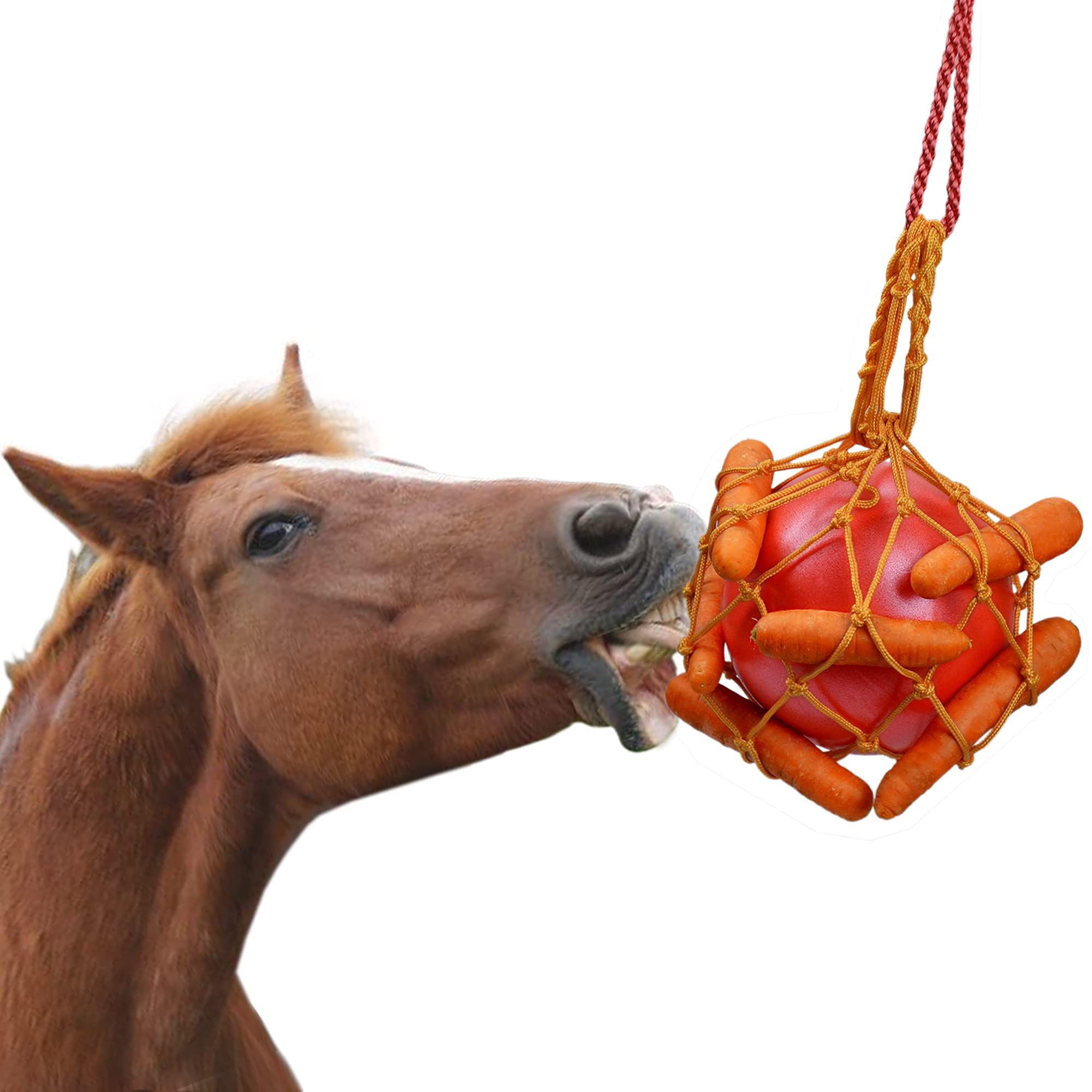 Vomvomp Horse Carrot Feed Toy Hanging Carrot Feeding Toy Horse Treat Ball For Horse Stable Stall Rest