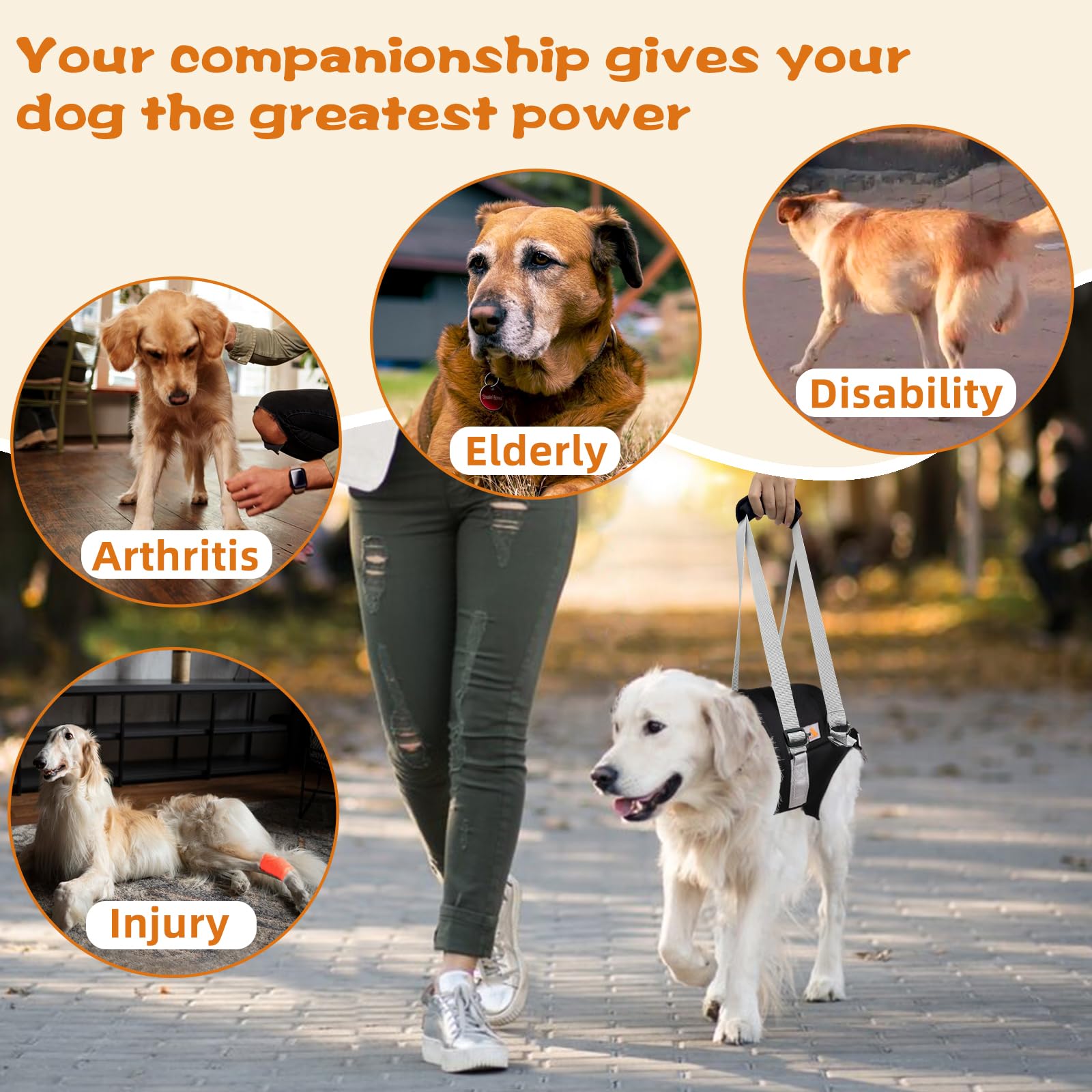 Dog Lift Harness For Medium Dogs,Dog Sling For Back Legs,With Handle,Rear Leg Support/Walk/Up Stairs/Dogs Joint Injuries/Arthrit