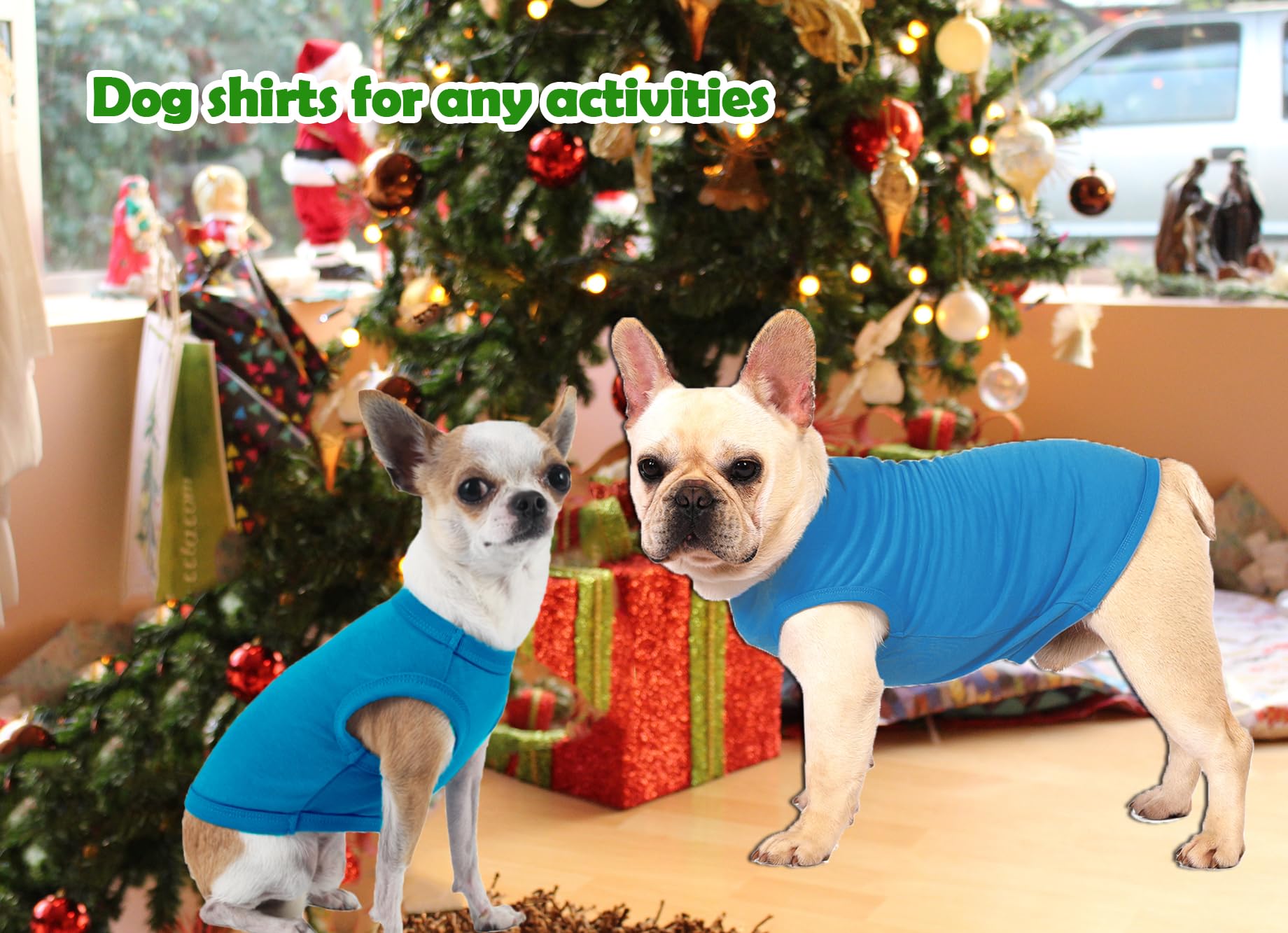 Sychien Dog Blank Blue Shirt,Boy Girl Dogs Large Tee Shirts,Plain French Bulldog T-Shirt,L Blue Royal