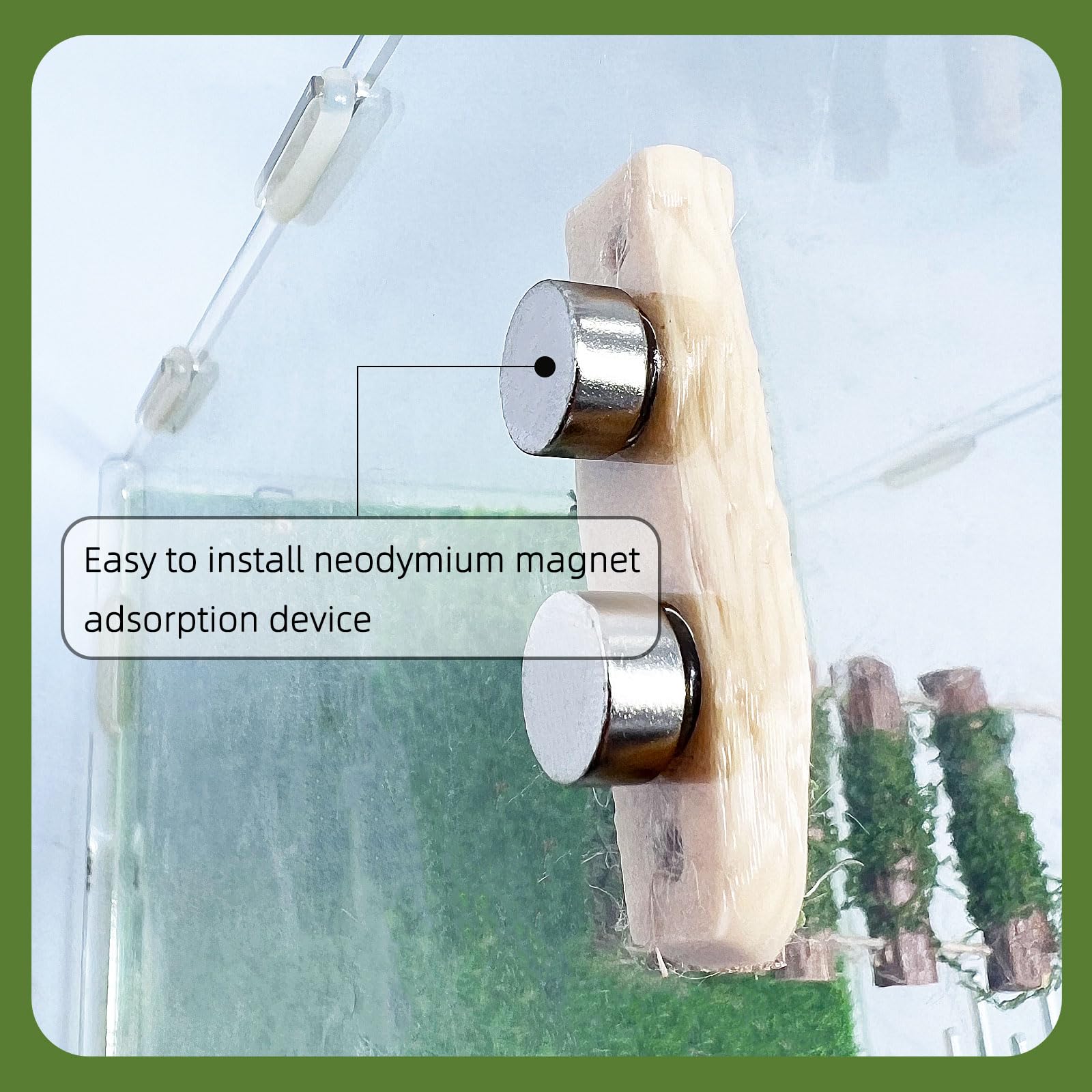 Jumping Spider Rope Bridge,A Solid Wood Climbing Suspension Bridge, A Jumping Spider Enclosure Accessory, Handmade, A Spider Jum