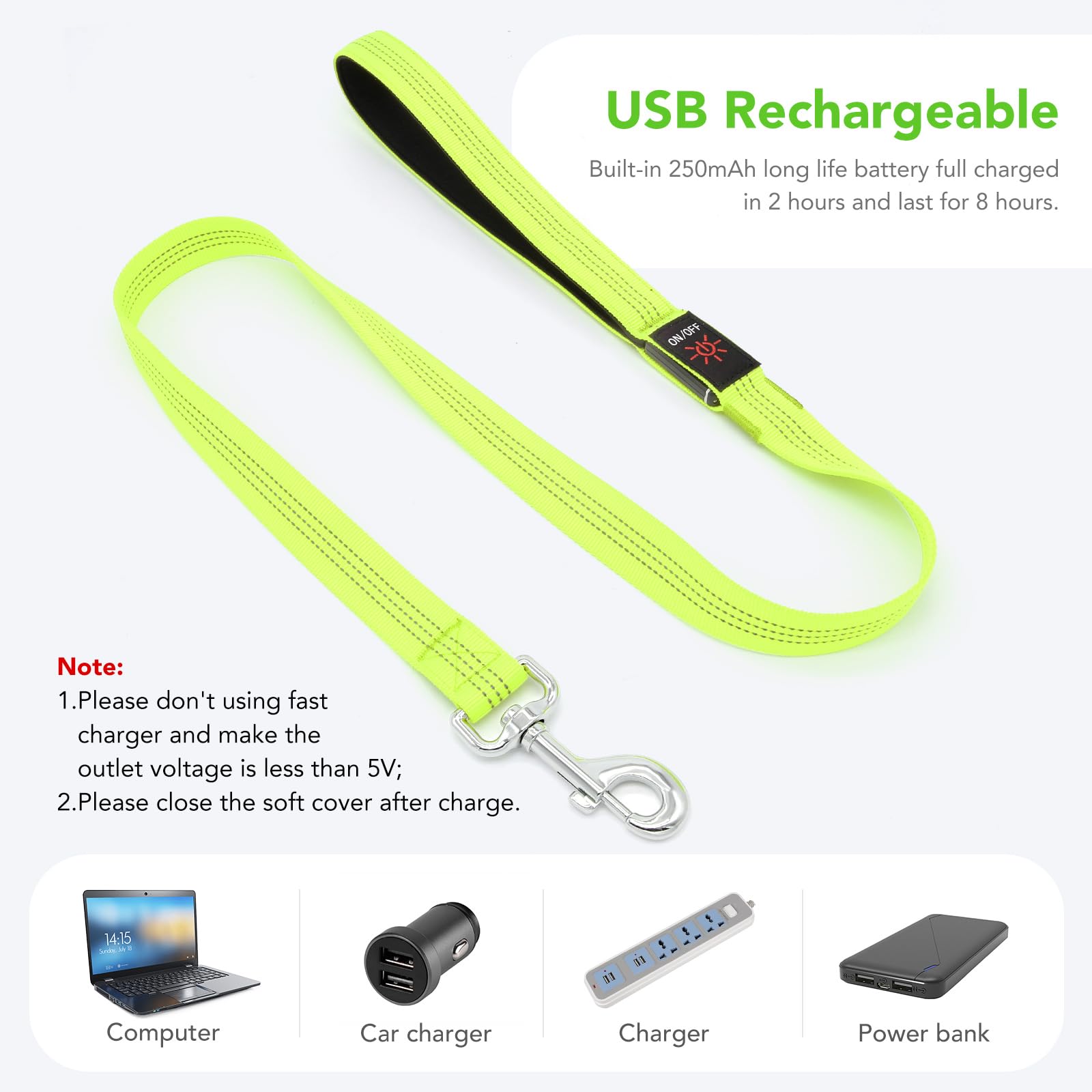 Colaseeme Light Up Dog Leash, 4Ft Led Pet Leashes Micro Usb Rechargeable, Nylon Glow Safety Dogs Lights At Night (Green-New)