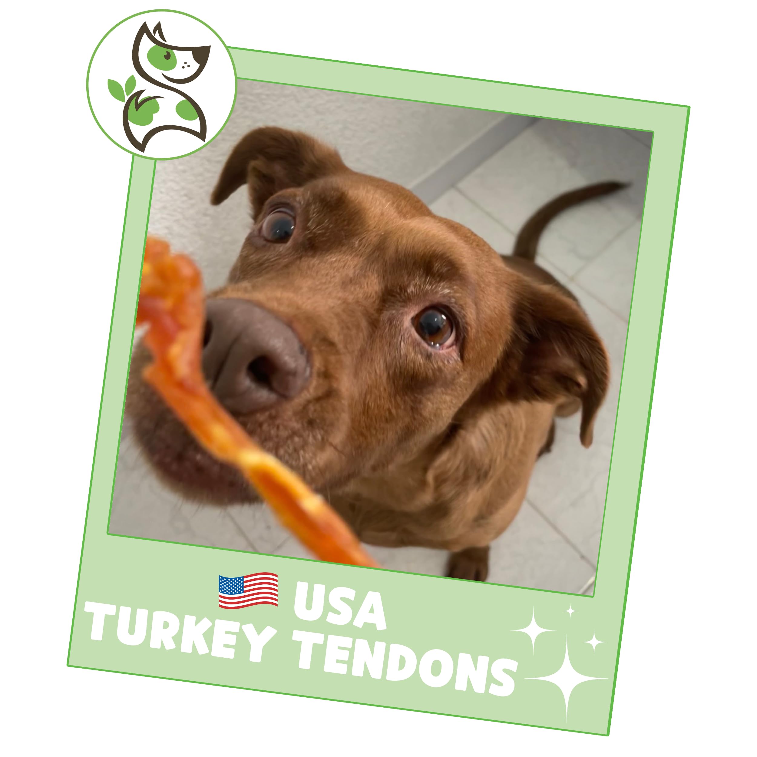 Nature Gnaws USA Turkey Tendons for Dogs (4oz) - Delicious Grain Free Reward Snack for Small, Medium & Large Breeds - Premium Na