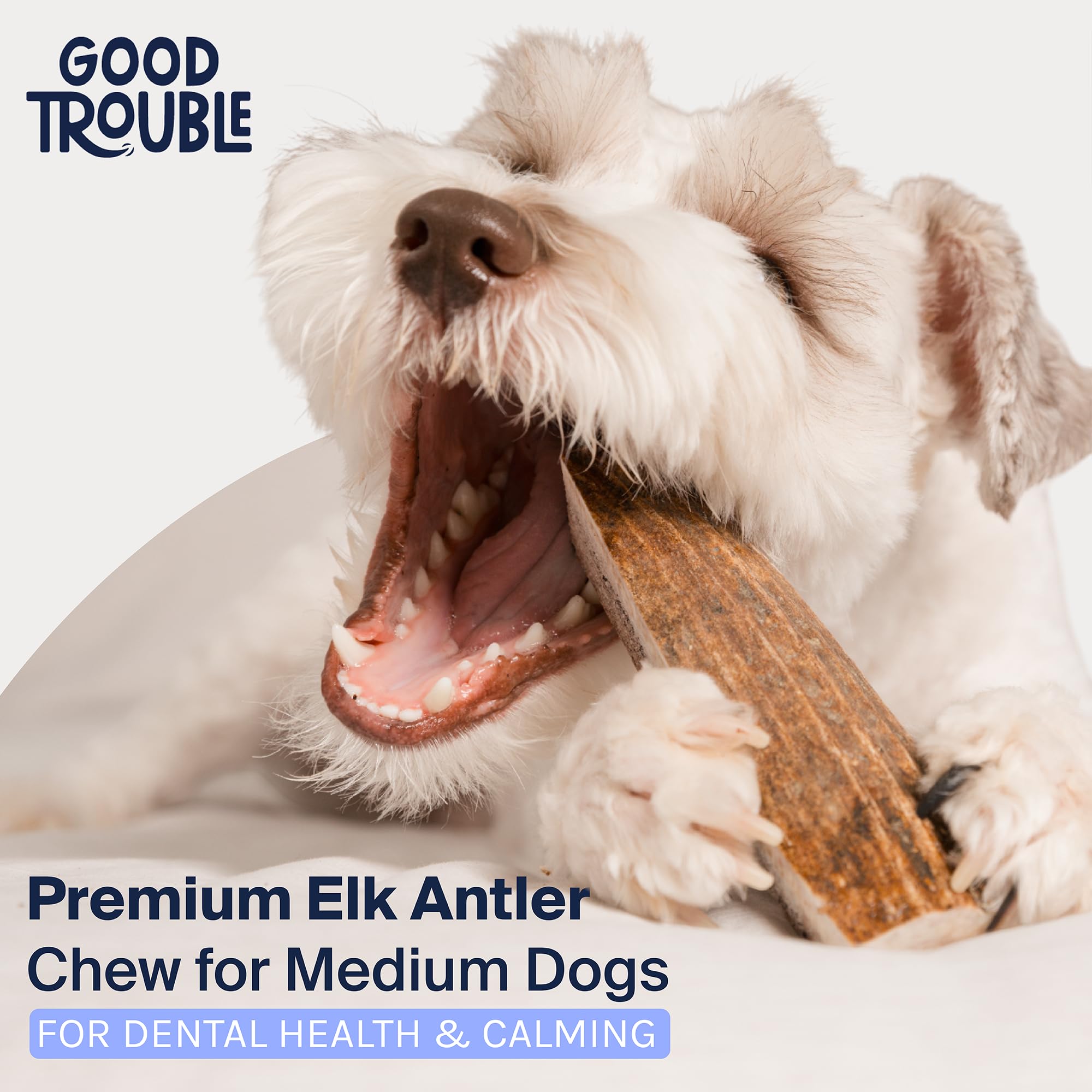Good Trouble Premium Elk Antlers For Medium Dogs - 1 Pack Split Pets - All-Natural, Shed Antler Chews For Dental Health & Calmin
