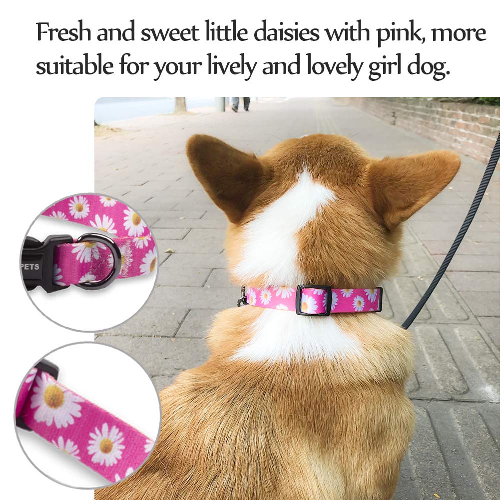 Qqpets Adjustable Soft Dog Collar: Print Flower Pink Multicolor Cute Patterns For Xs Small Medium Large Pet Girl Boy Puppy Walki