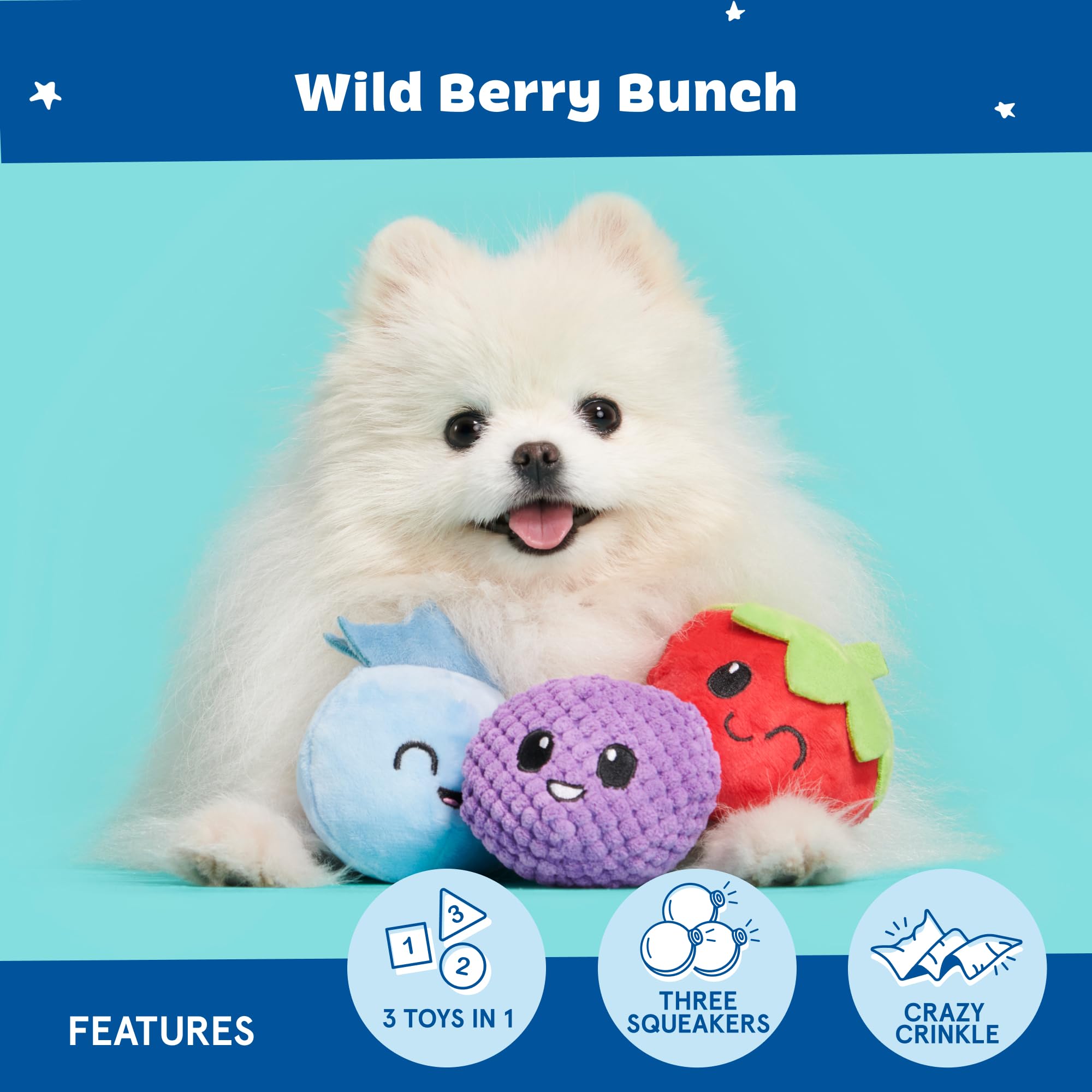 Barkbox Wild Berry Bunch Multi Part Toy For Dogs And Puppies - Small Breeds